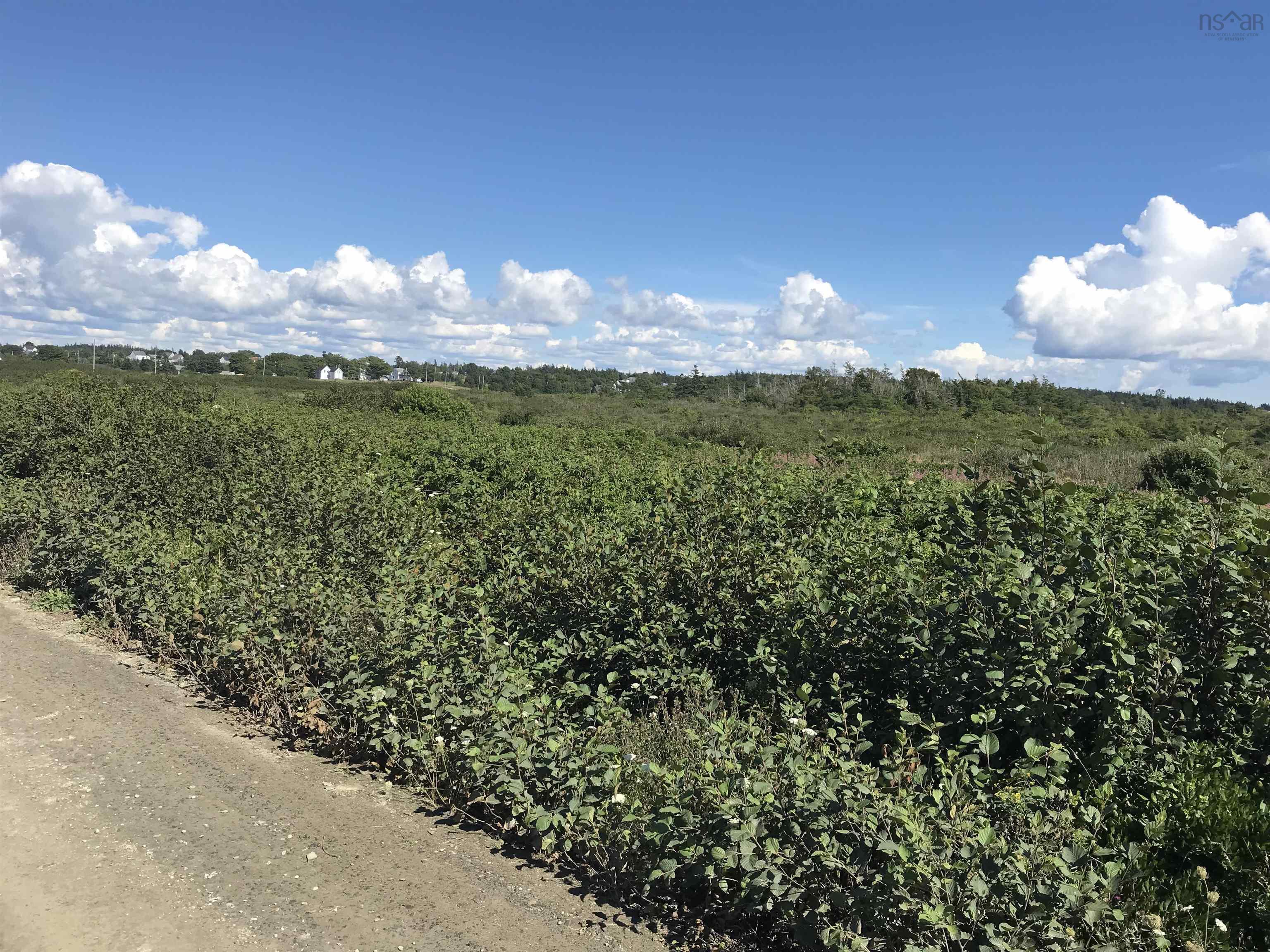 $500,000.00: No 1 Highway, Meteghan Centre