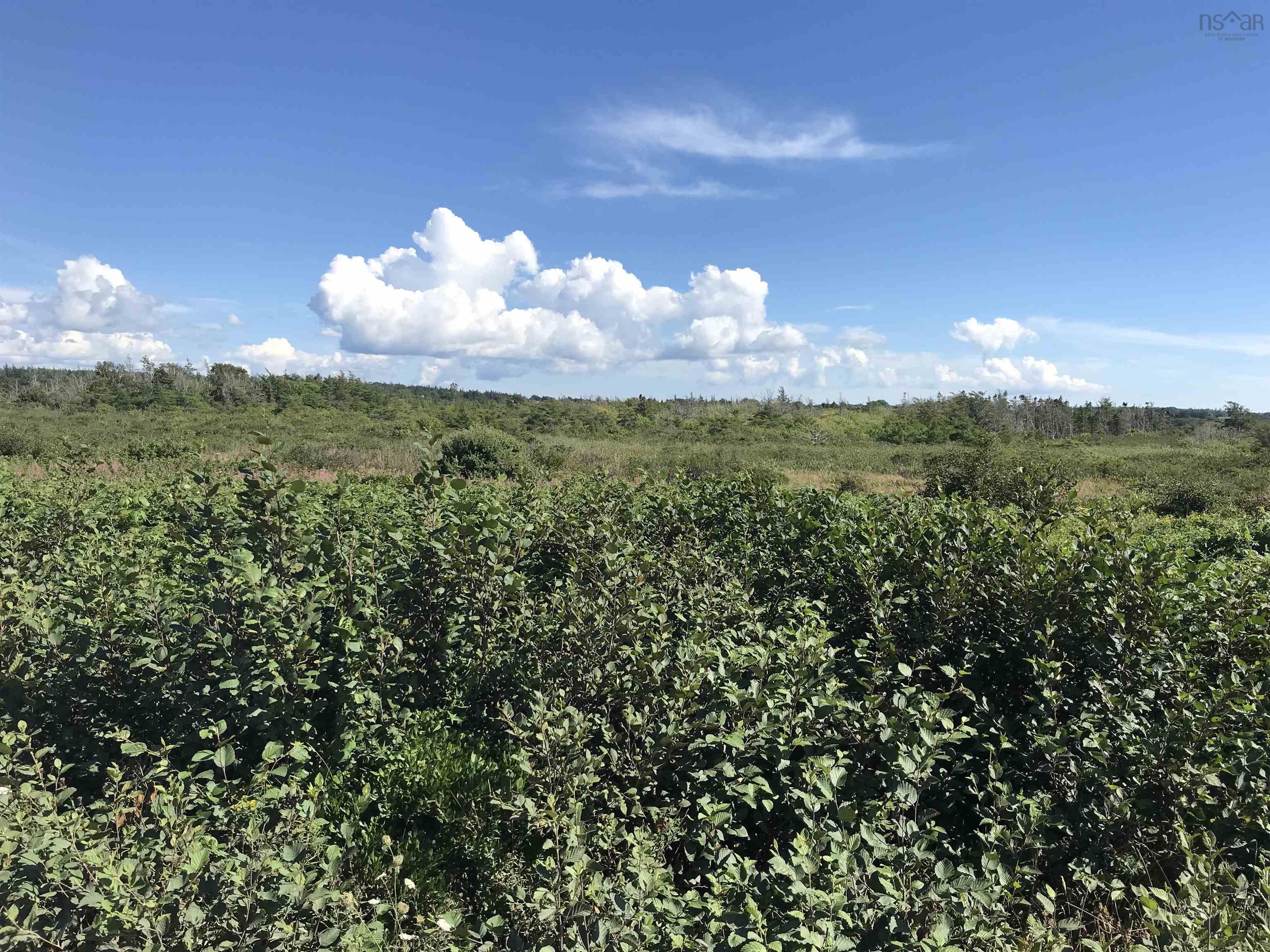 $500,000.00: No 1 Highway, Meteghan Centre