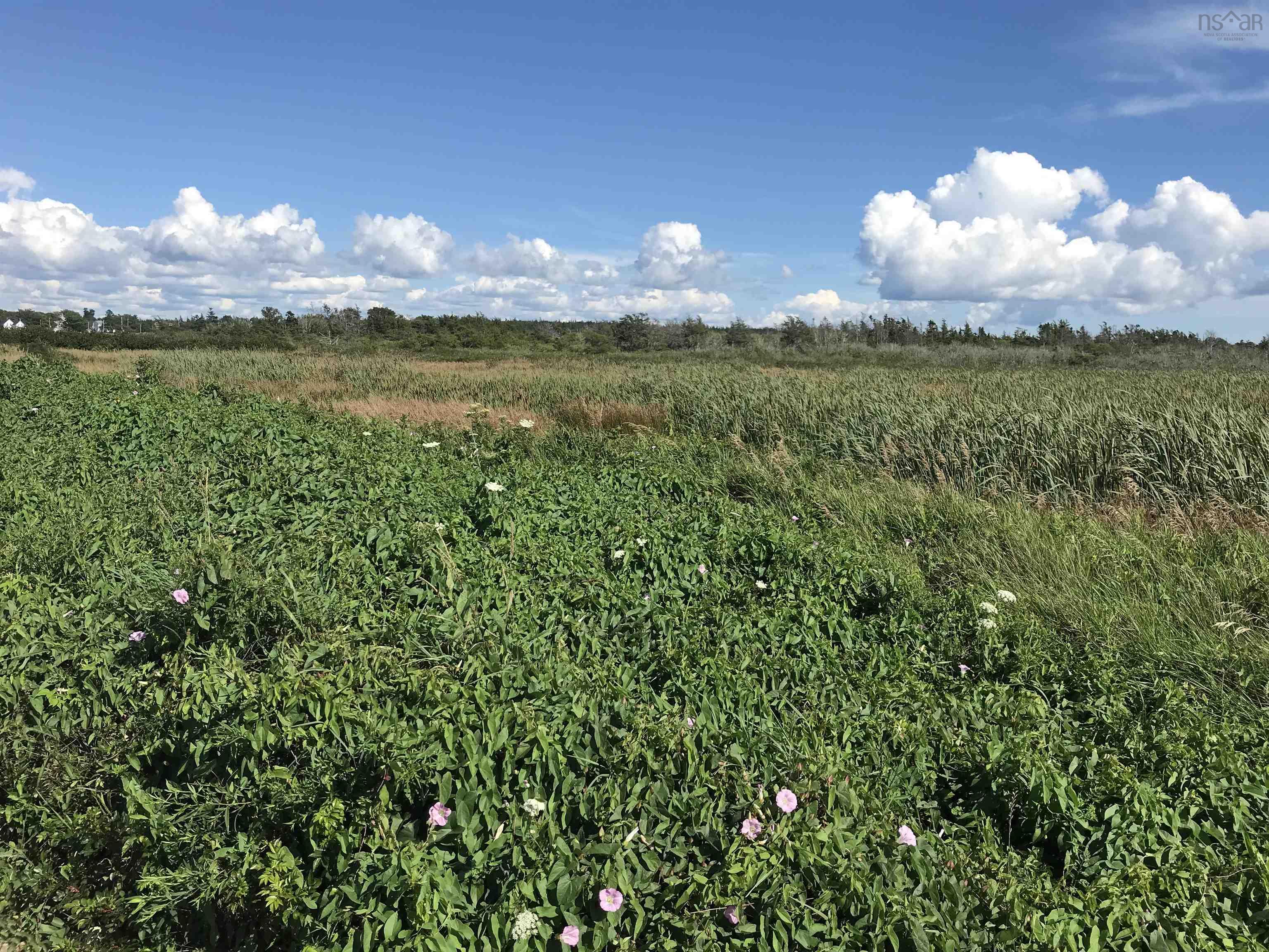$500,000.00: No 1 Highway, Meteghan Centre