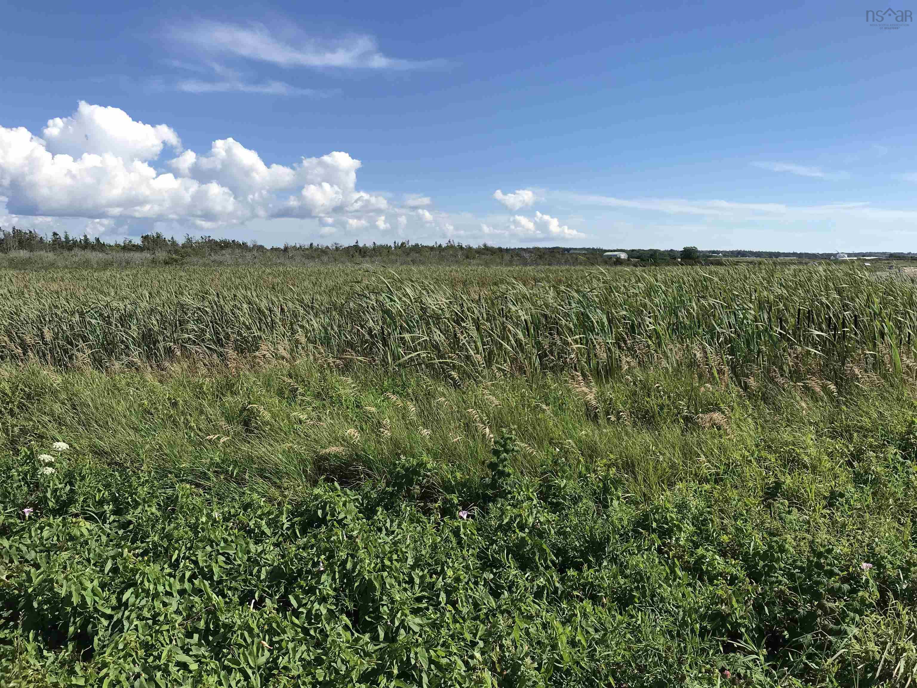 $500,000.00: No 1 Highway, Meteghan Centre