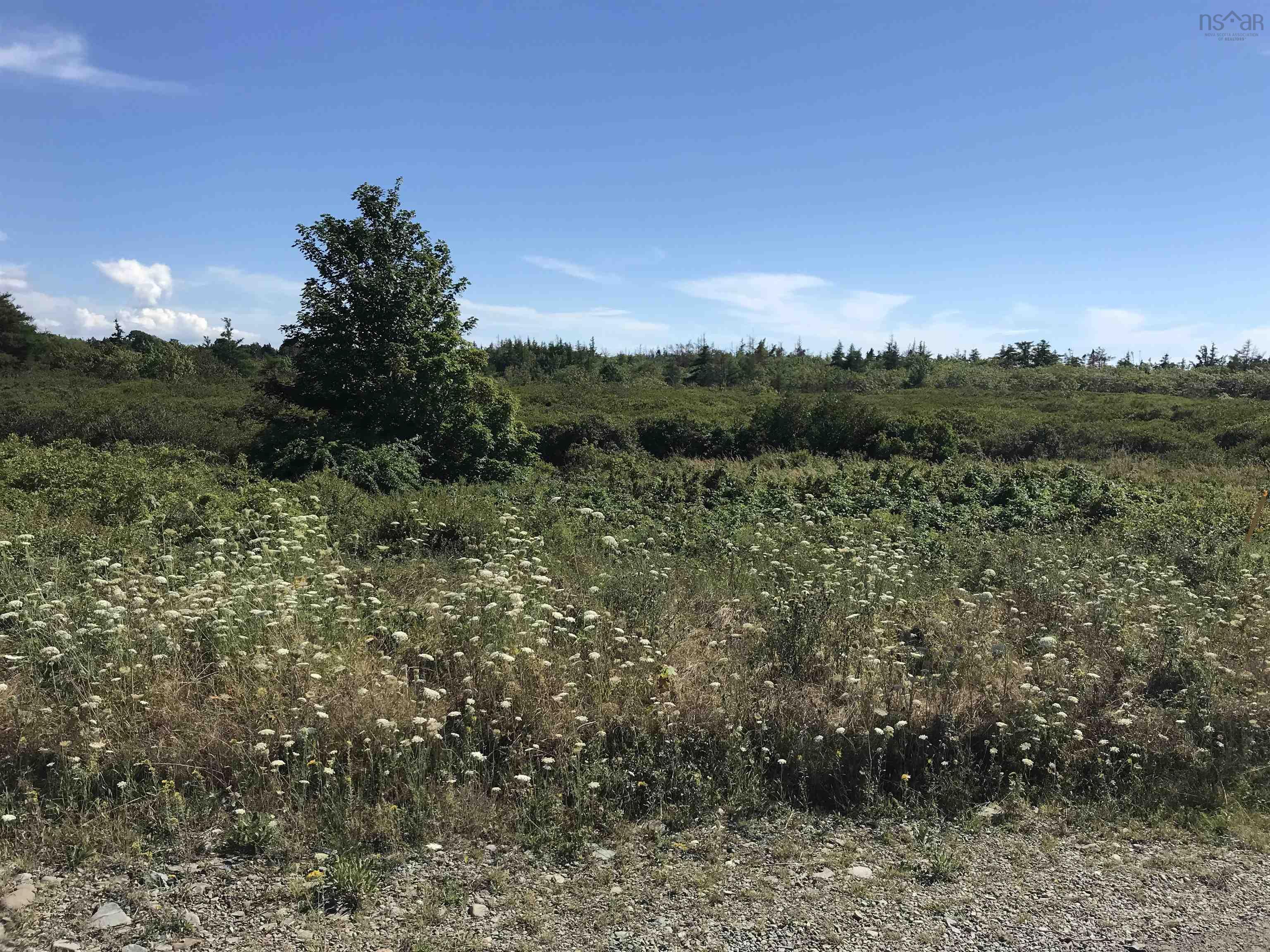 $500,000.00: No 1 Highway, Meteghan Centre