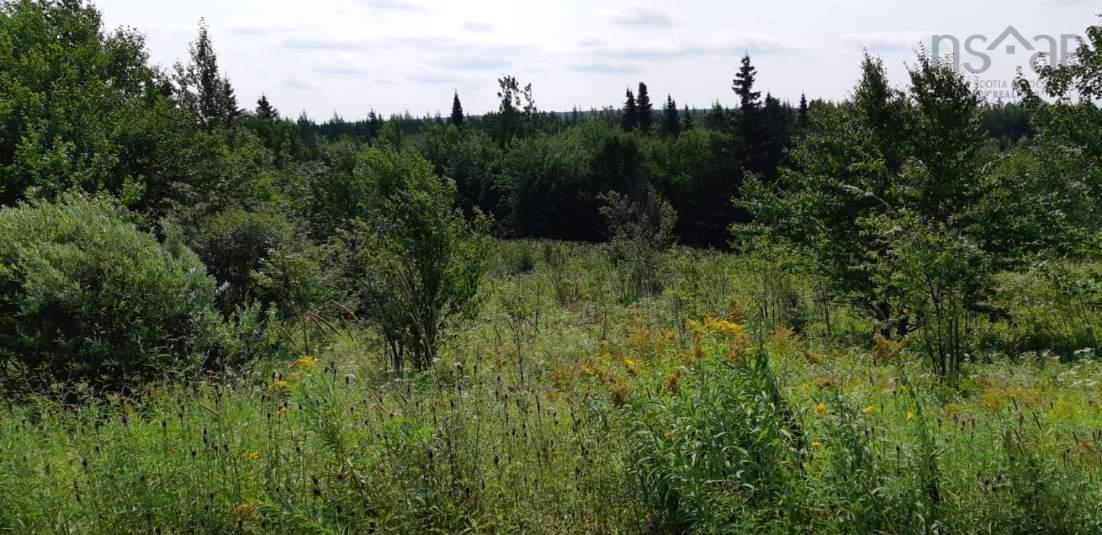 $63,600.00: Lot Salem Road, Enon