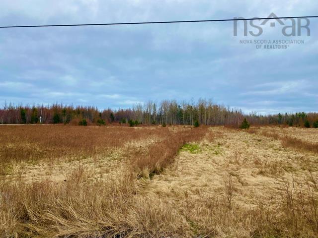 $57,000.00: Lot 99 North Shore Road, East Wallace