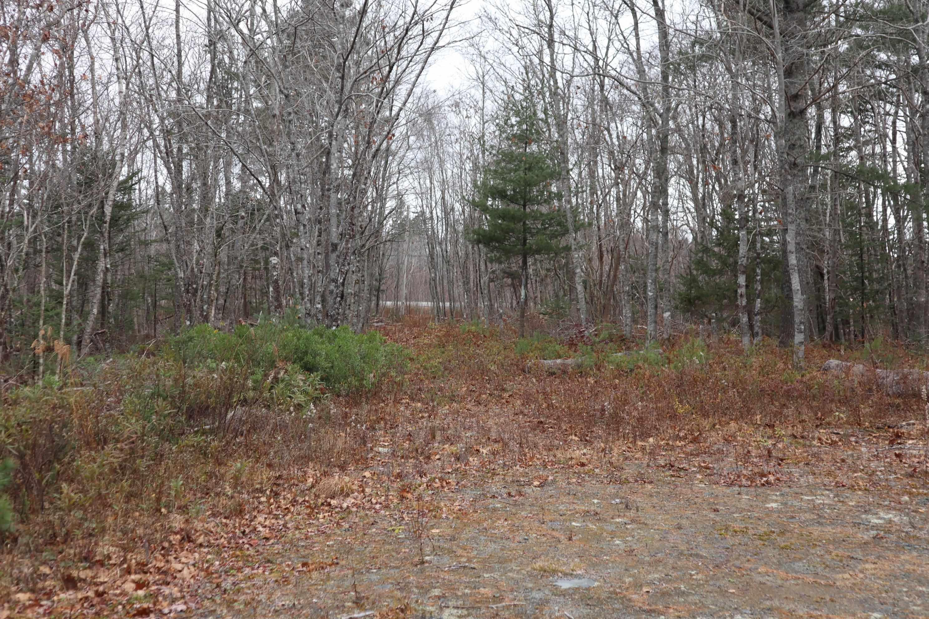 $22,000.00: Lot 15 Old Port Mouton Road, White Point