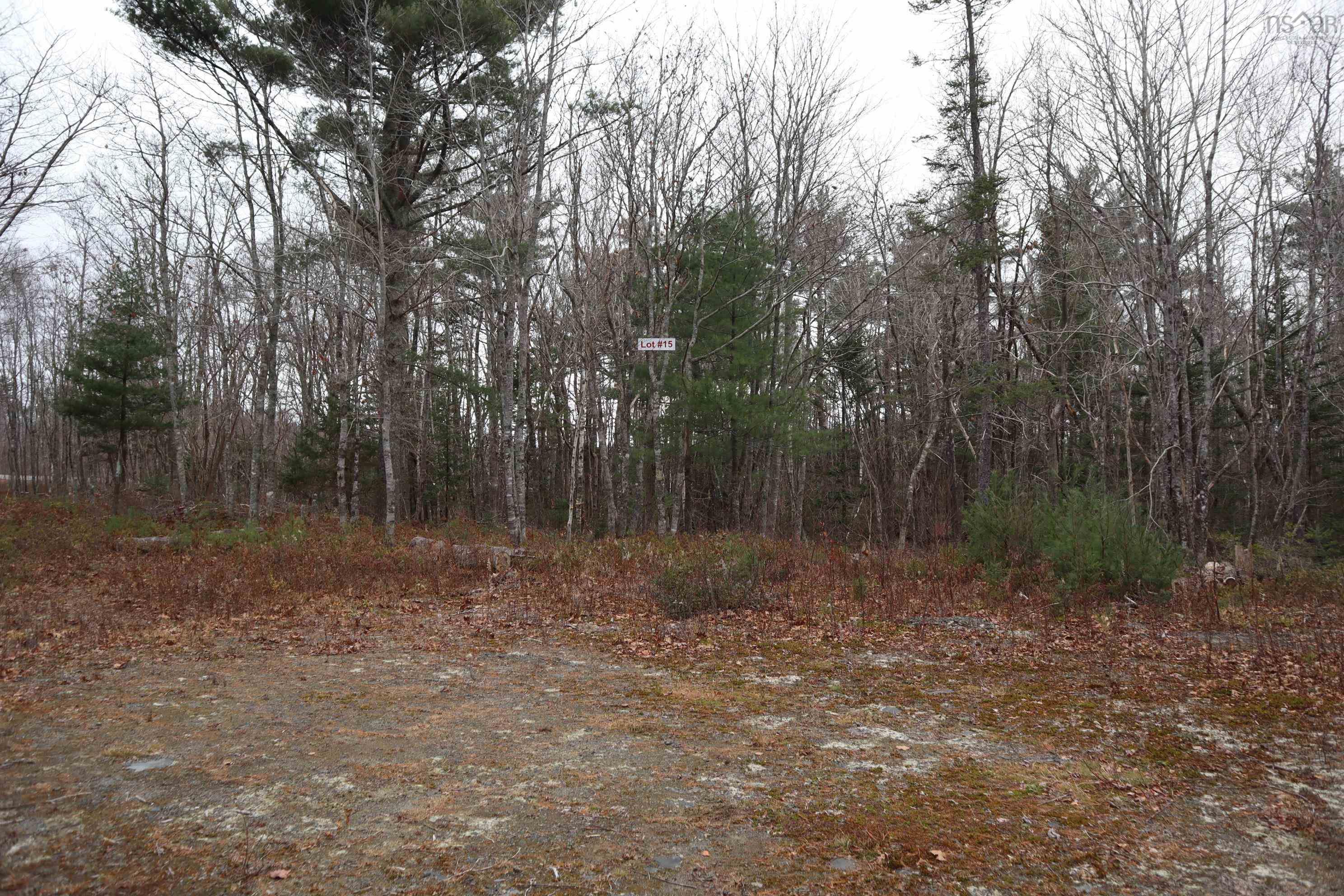 $22,000.00: Lot 15 Old Port Mouton Road, White Point