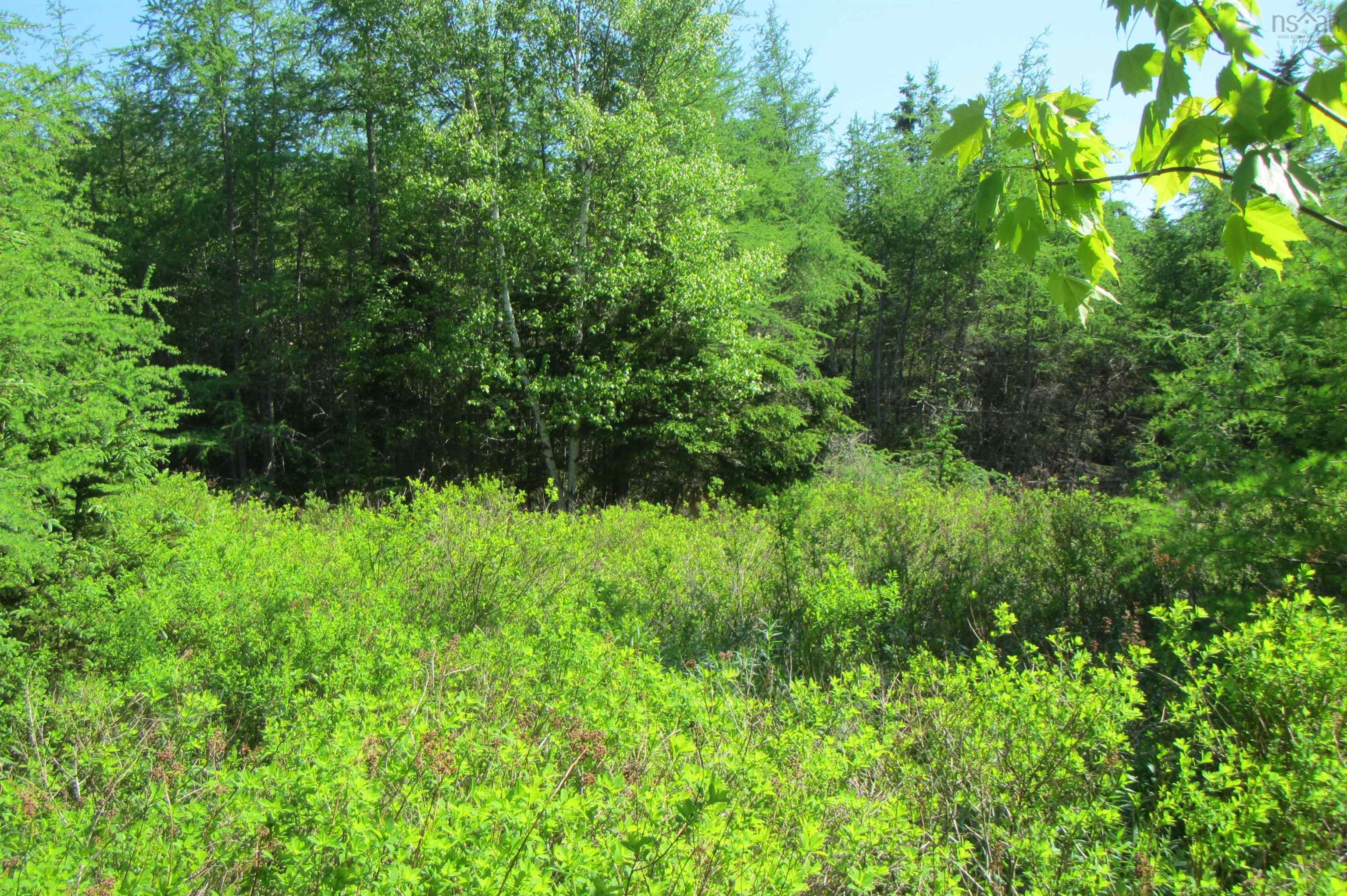 $85,000.00: Lots 3 & 4 0 Canis Albus Lane, French Road