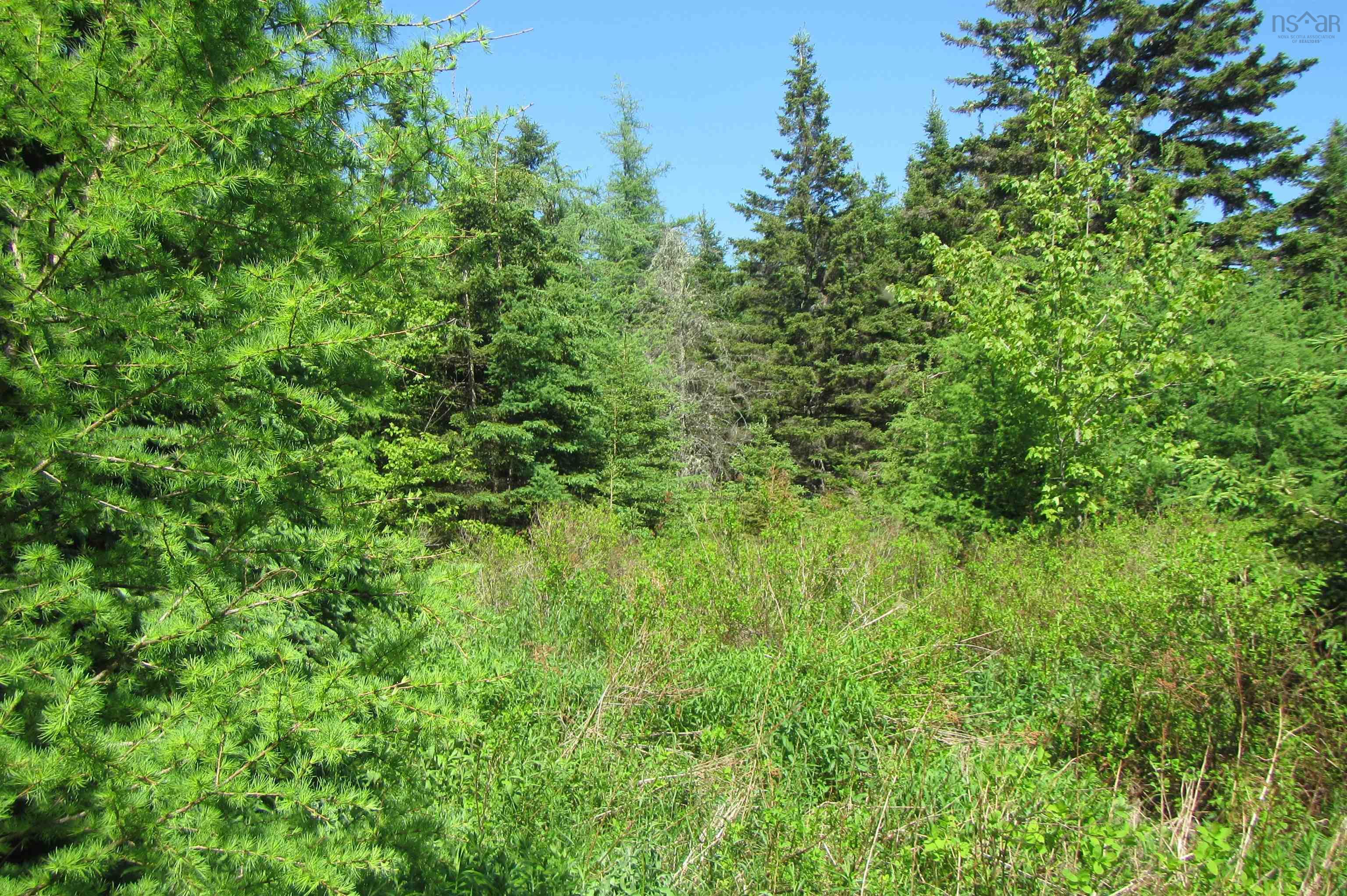 $85,000.00: Lots 3 & 4 0 Canis Albus Lane, French Road