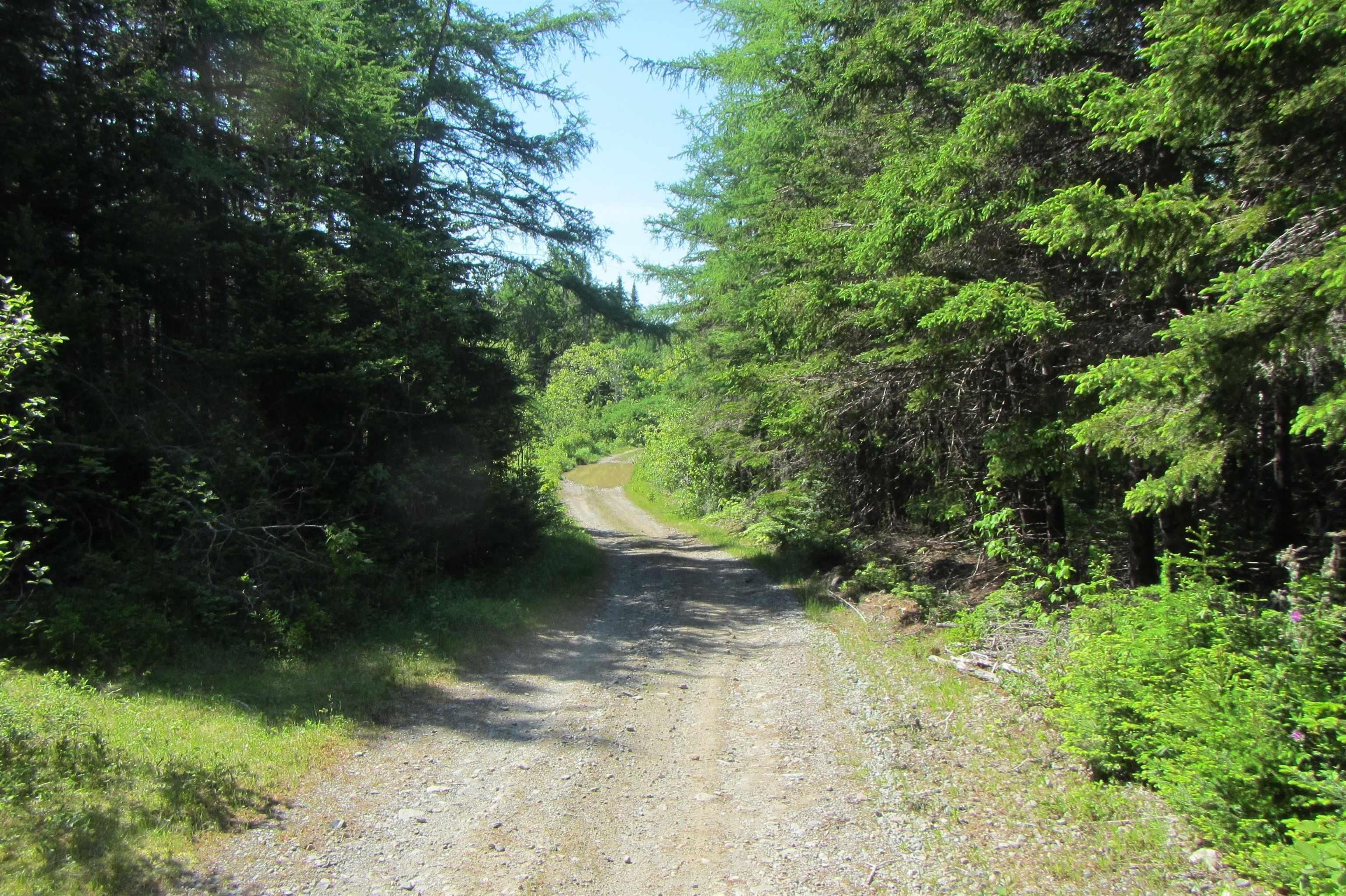$85,000.00: Lots 3 & 4 0 Canis Albus Lane, French Road