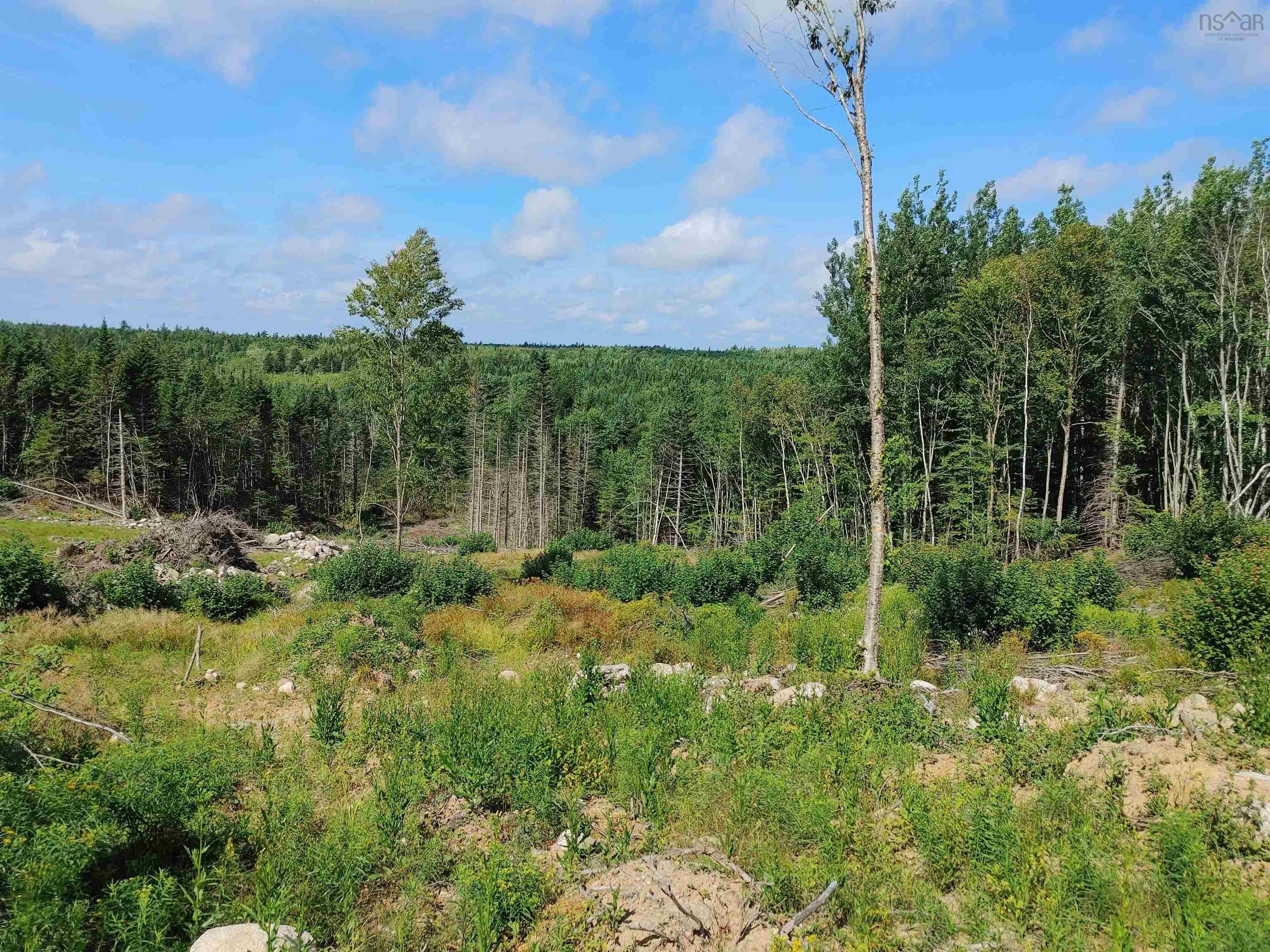 $795,000.00: Highway 14, Chester