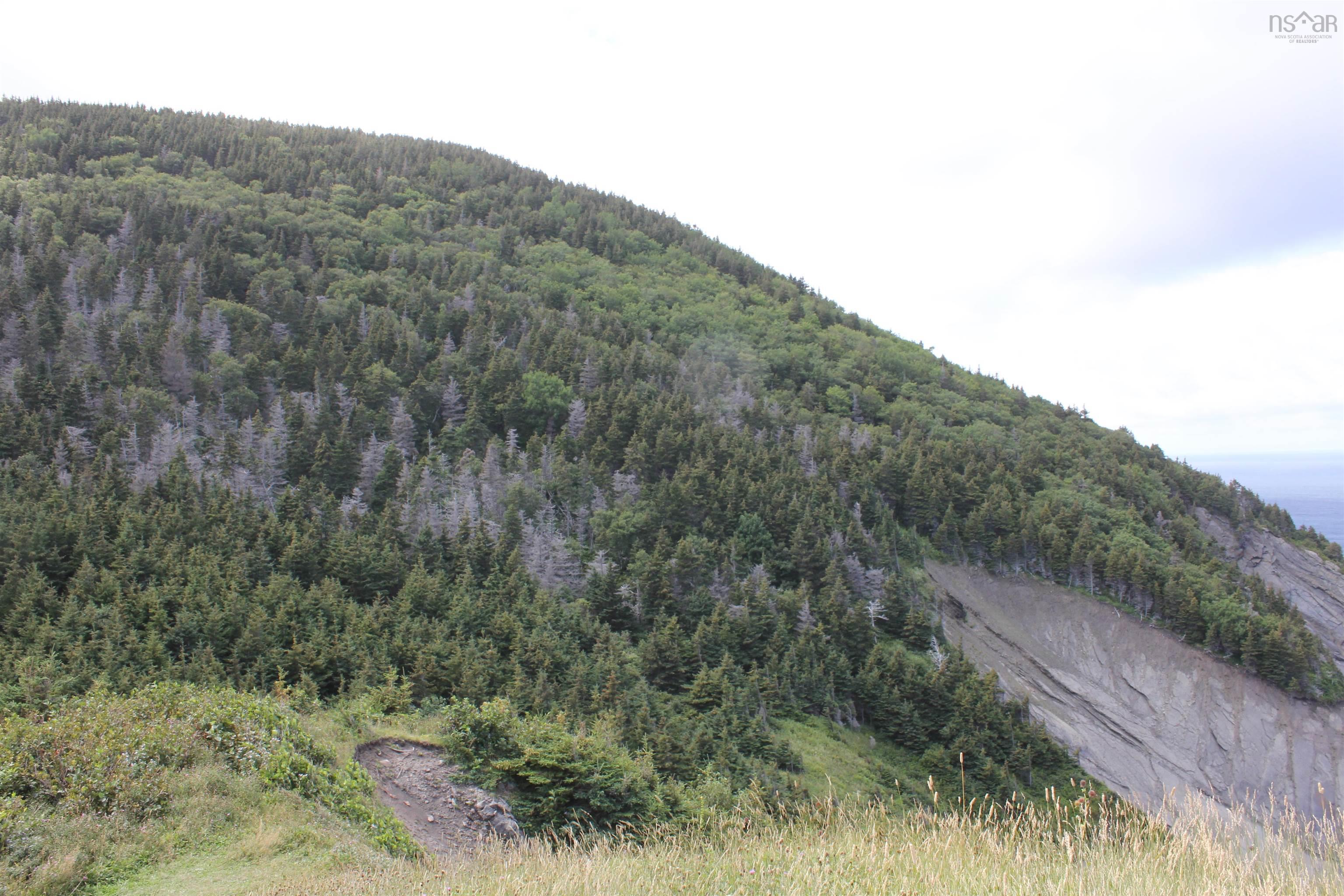 90AC Meat Cove Road 