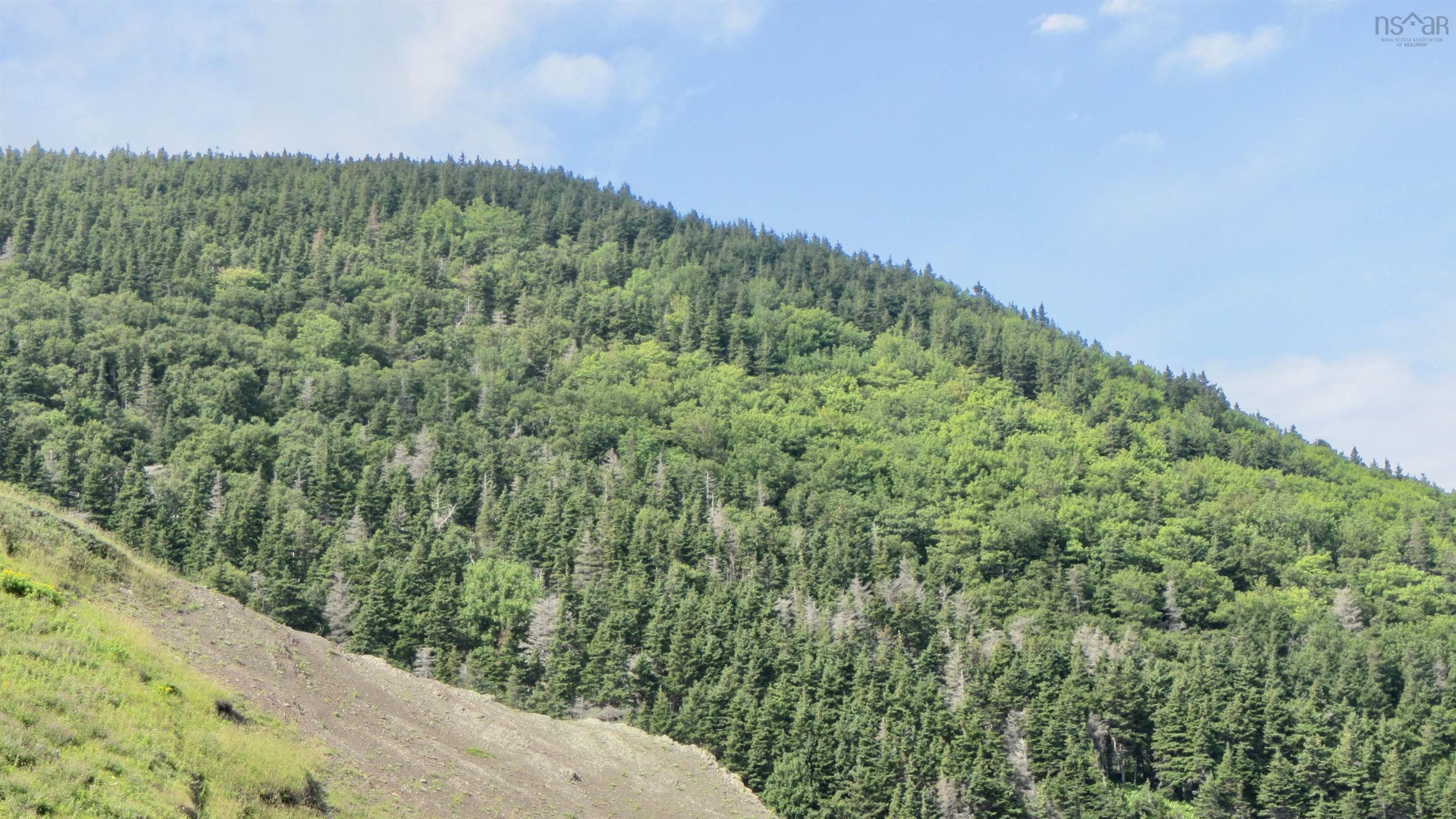 90AC Meat Cove Road 