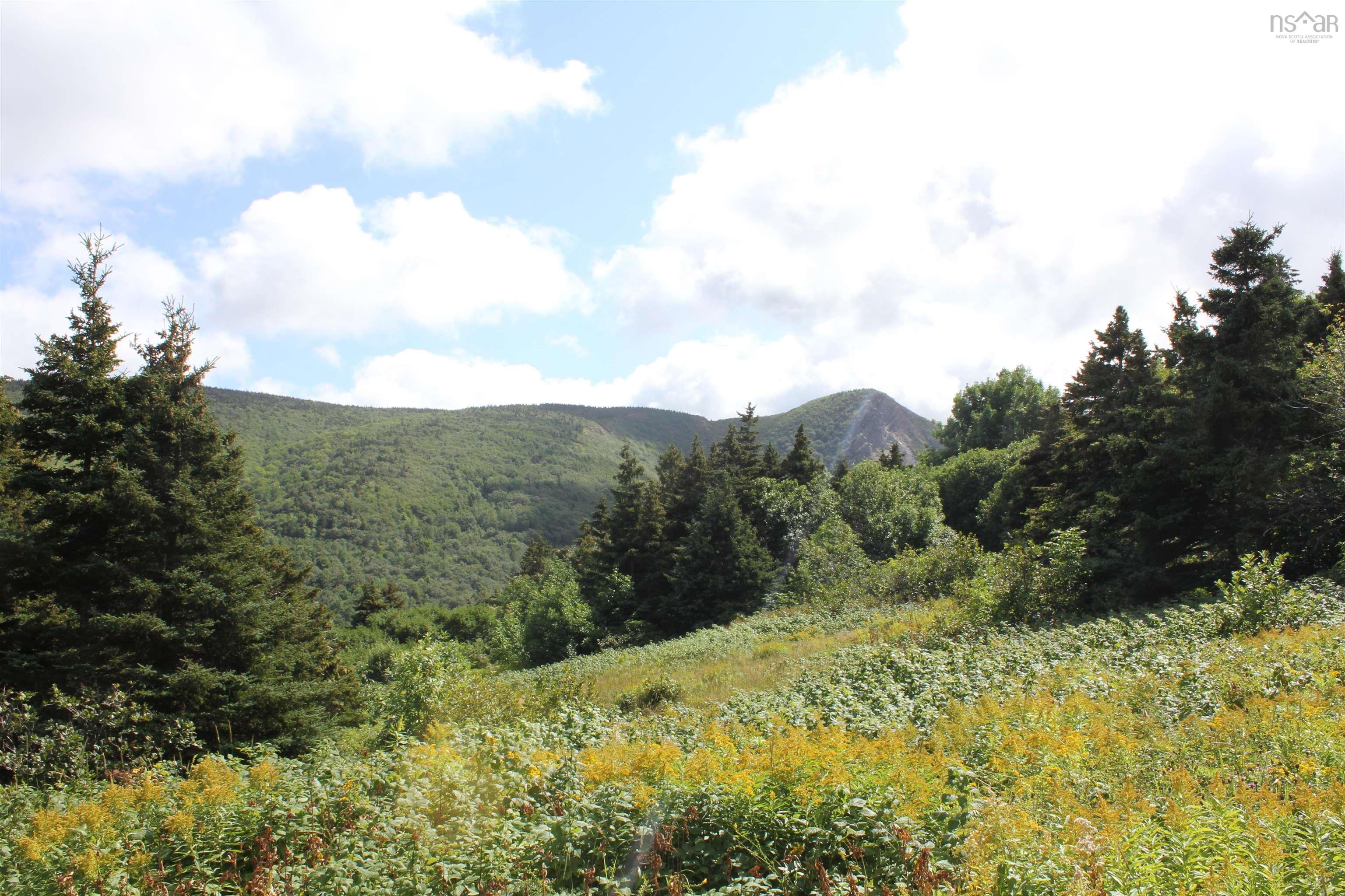 90AC Meat Cove Road 