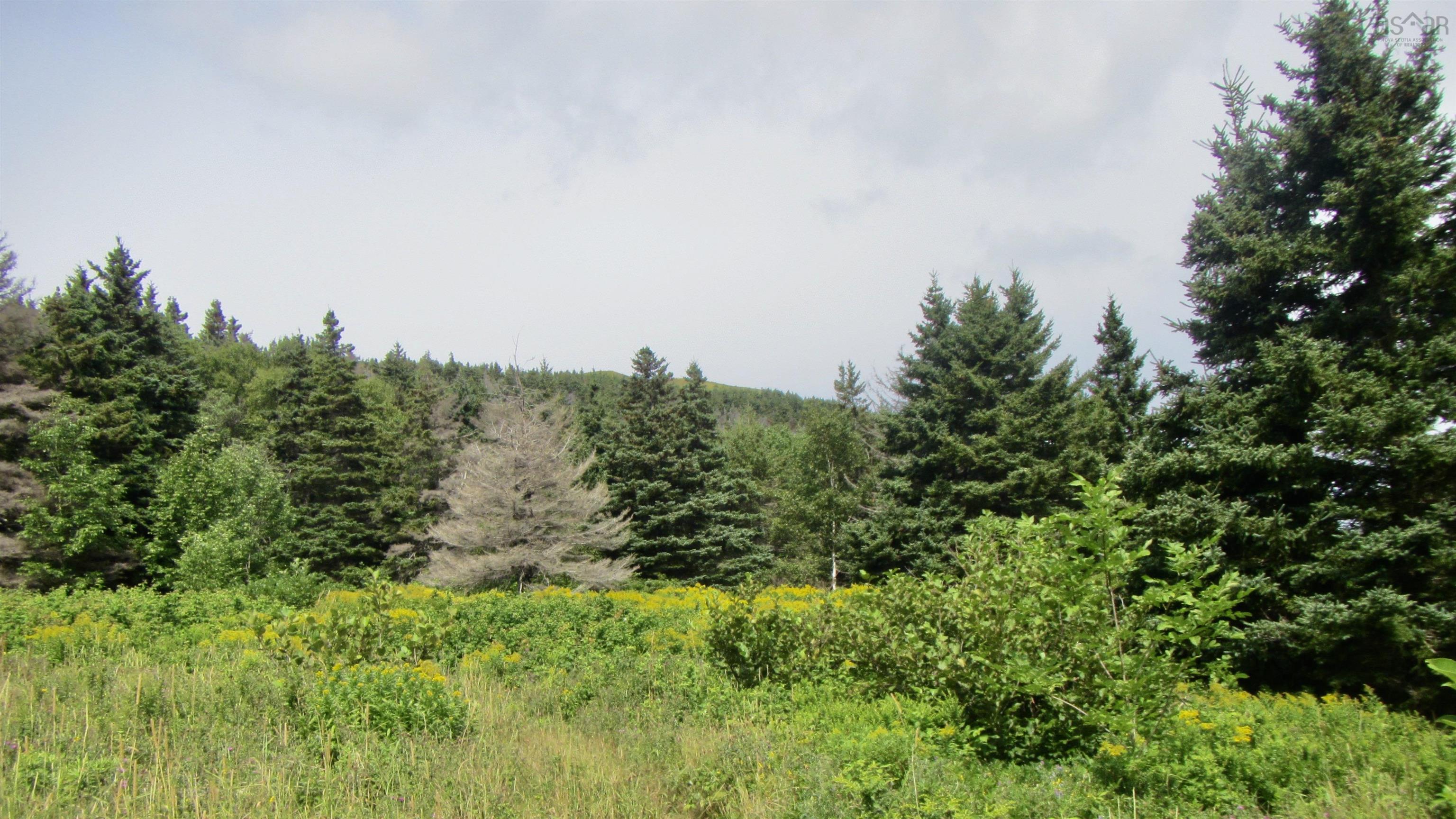 90AC Meat Cove Road 