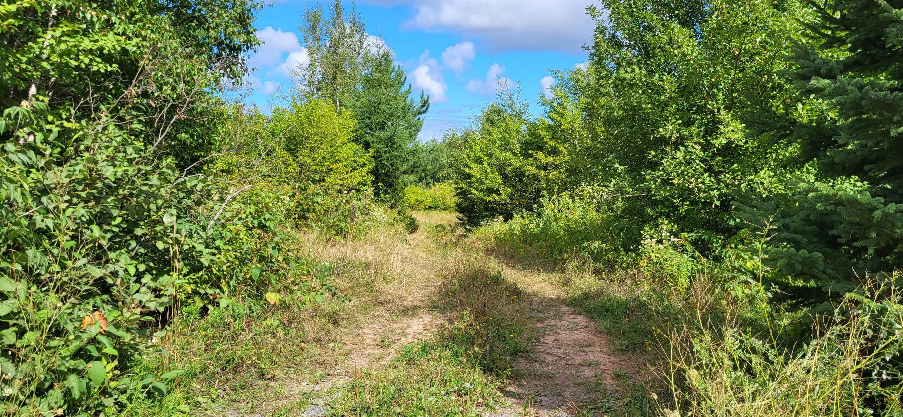 Lot 09-M2 Cooper Road, French River, NS (MLS 202221717)
