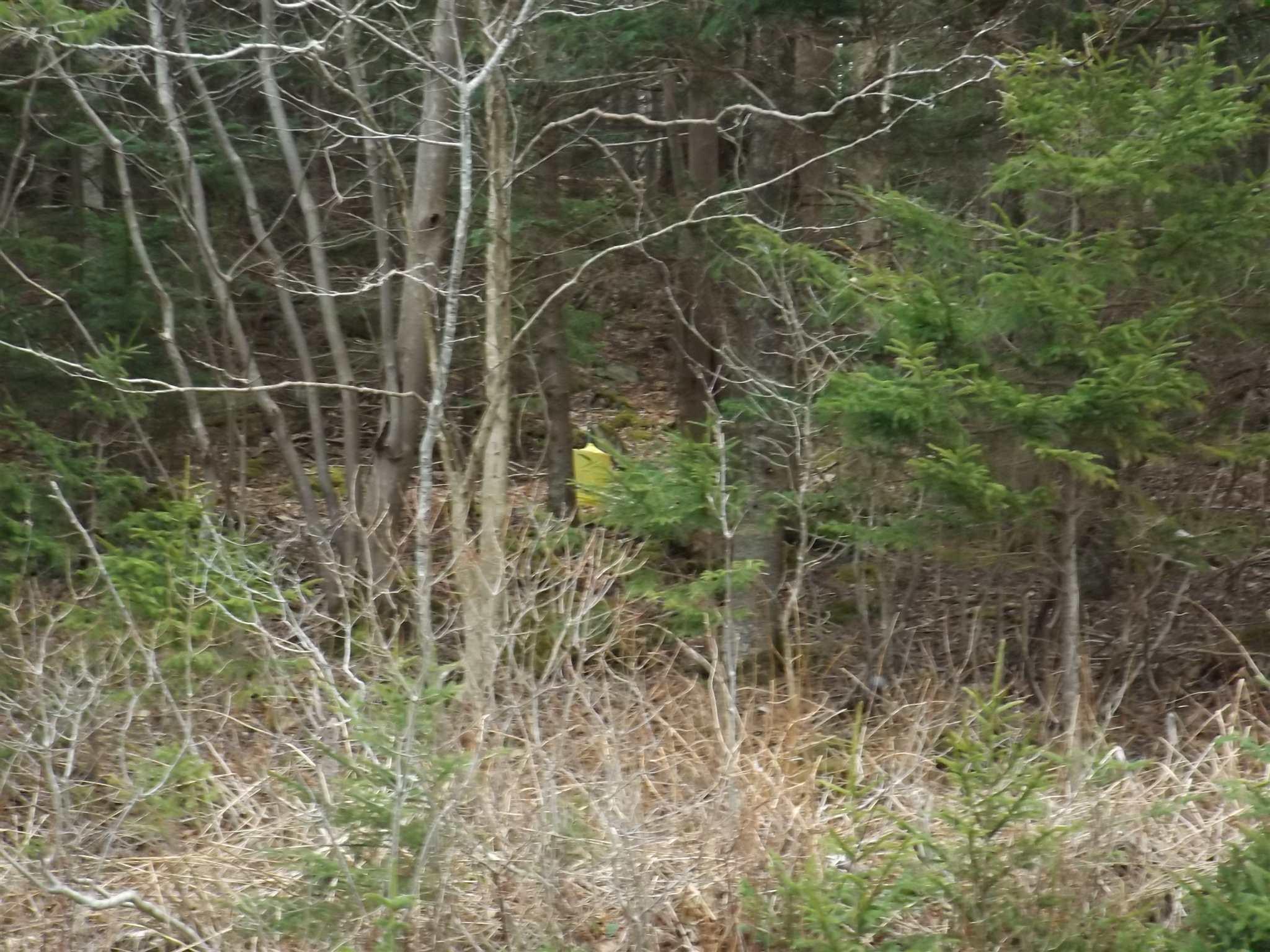 Roberts Island Road 