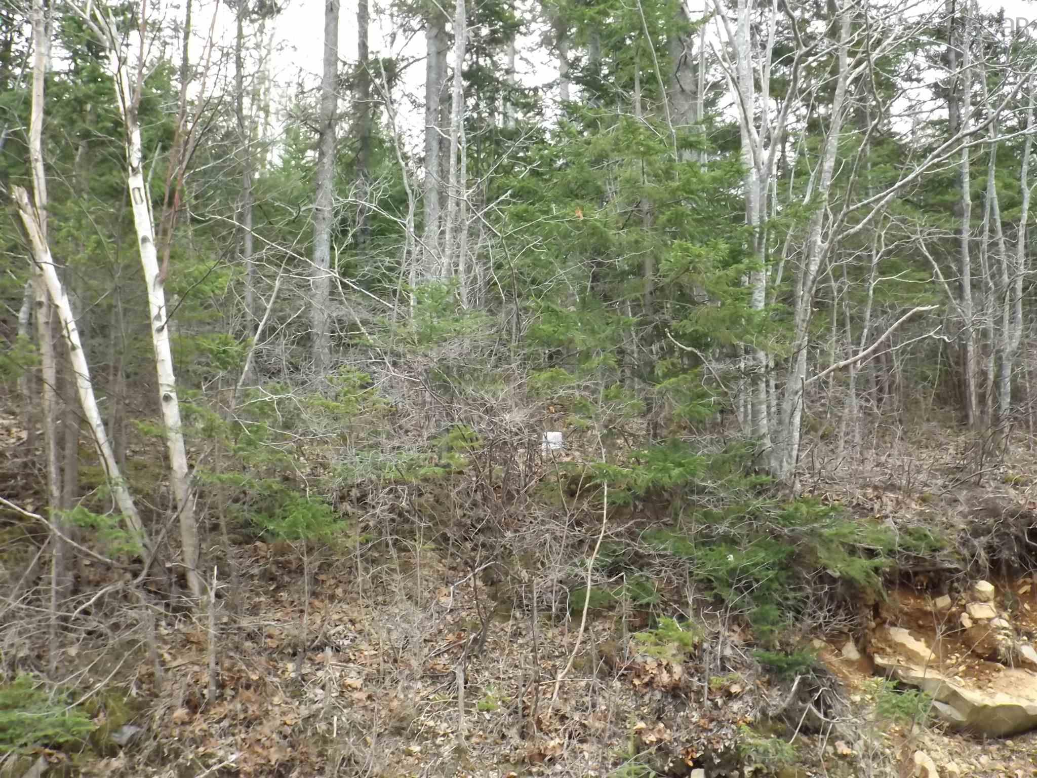 $69,000.00: Roberts Island Road, Roberts Island
