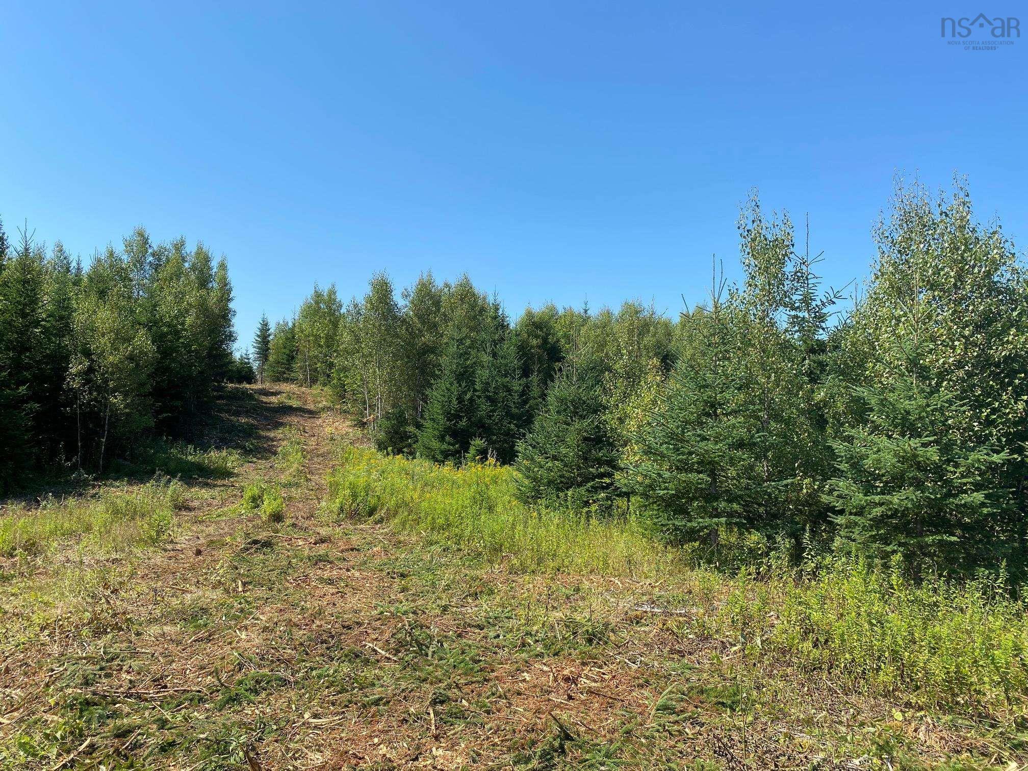 $64,900.00: 226 Brookville Branch Road, Bridgeville