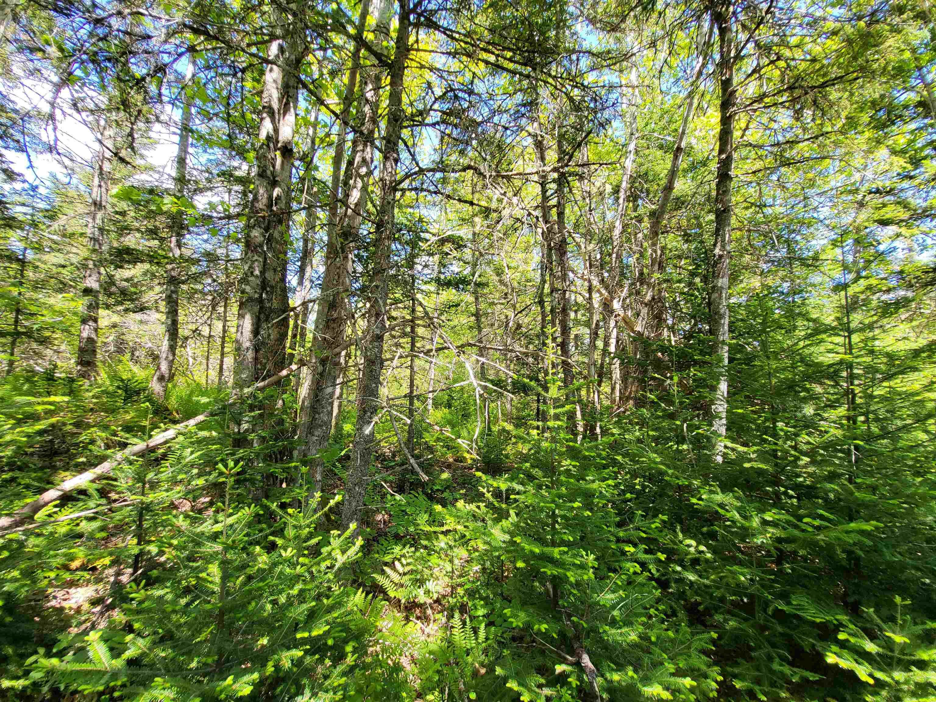 $59,900.00: C4 & C5 Everetts Way, Hunts Point