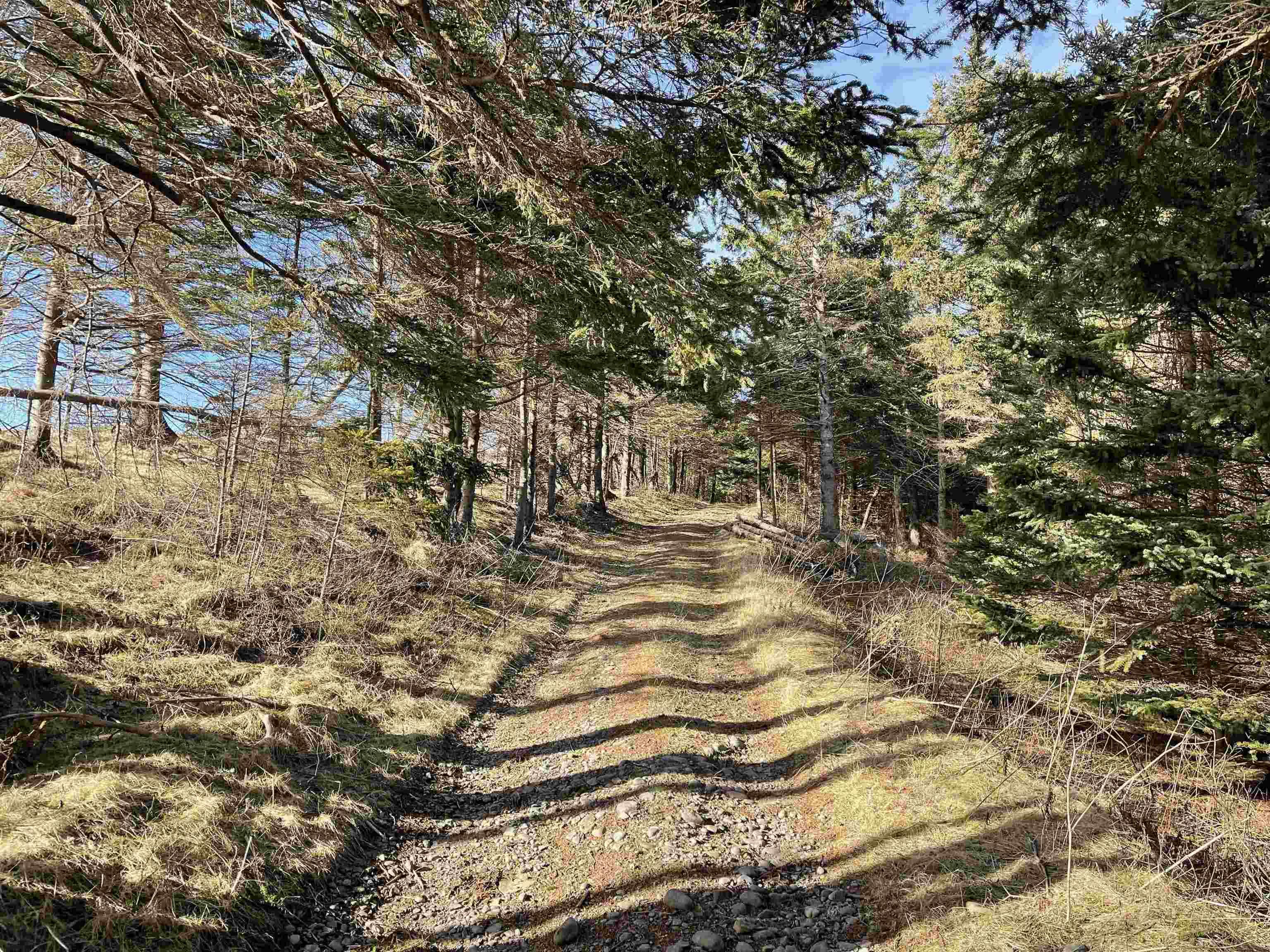 $329,900.00: Three Island Cove Road, Rockdale