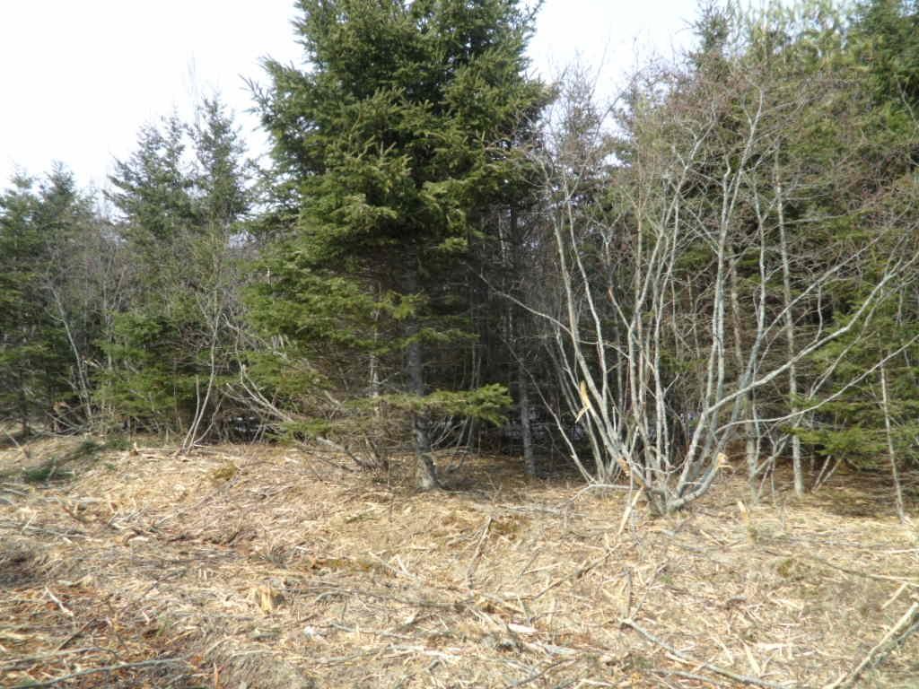 2N Highway 224 