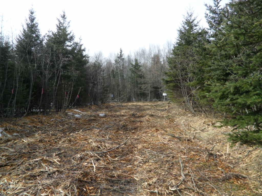 2N Highway 224 
