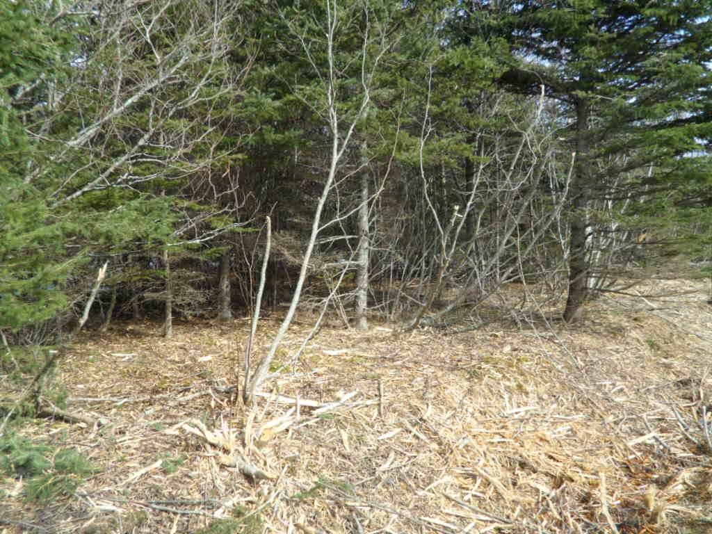 2N Highway 224 