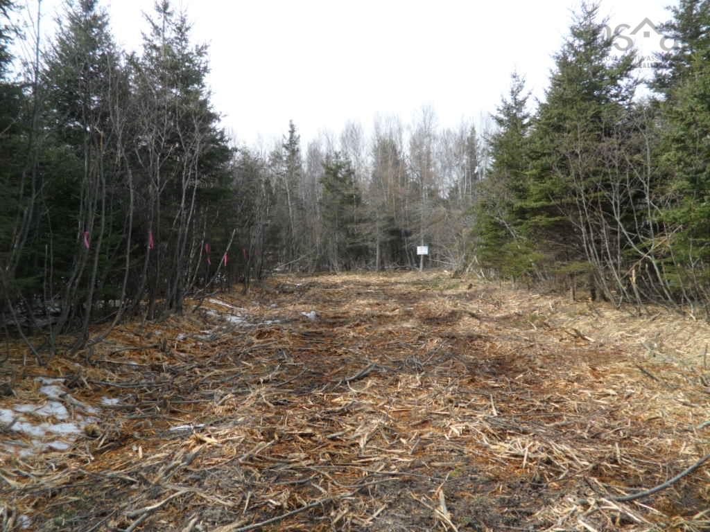 2N Highway 224 