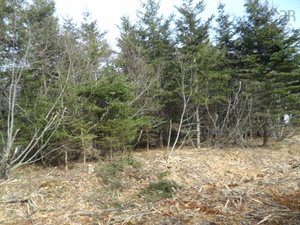 2N Highway 224 