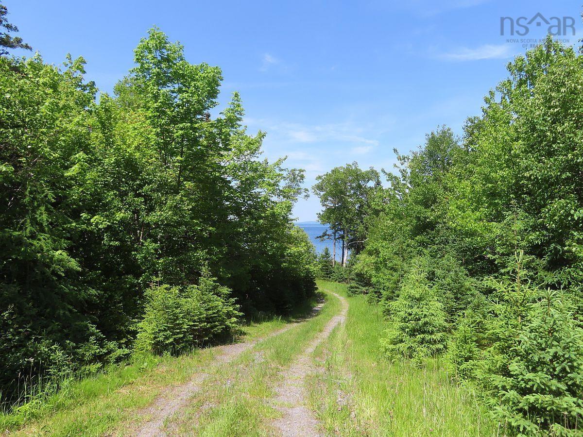 $54,000.00: 99-5 72 Naturer Dream P Boulevard, Roberta