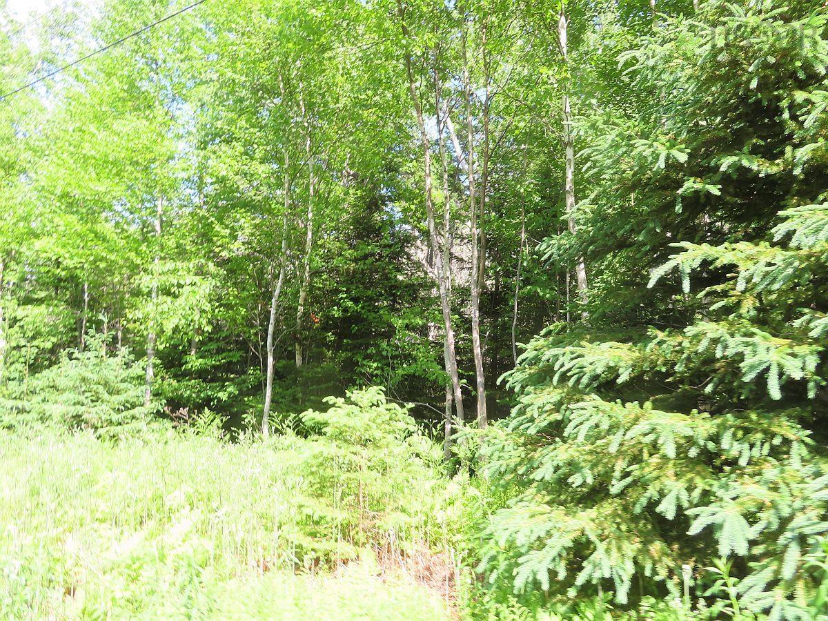 $54,000.00: 99-5 72 Naturer Dream P Boulevard, Roberta