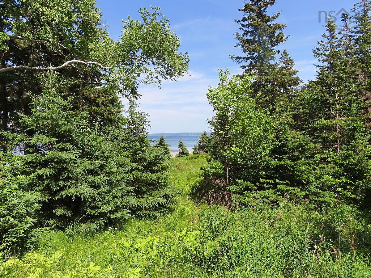 $54,000.00: 99-5 72 Naturer Dream P Boulevard, Roberta