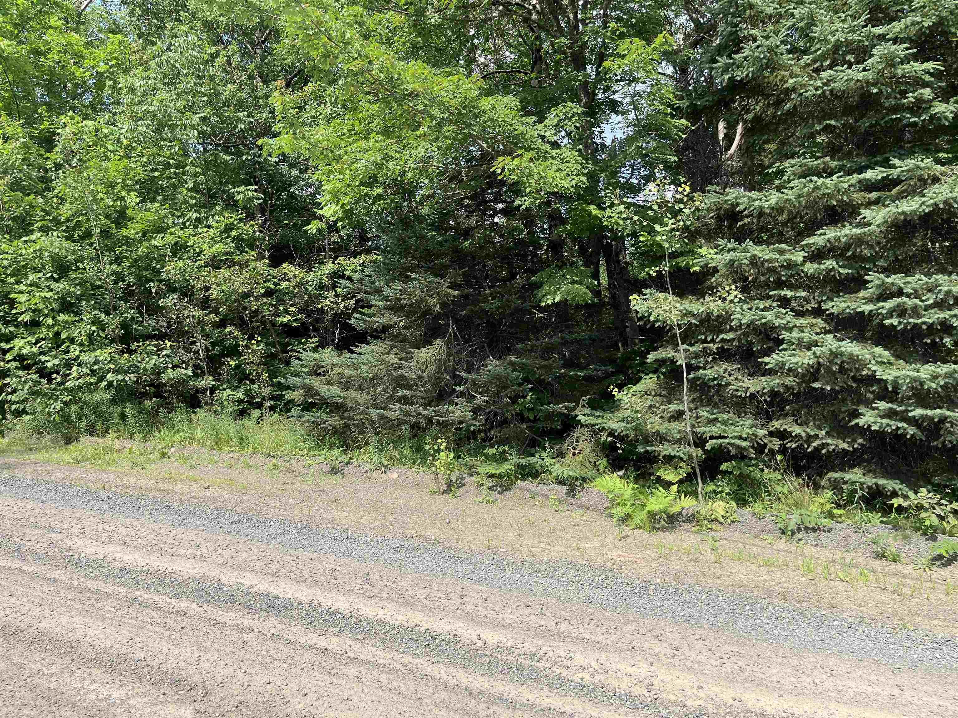 $39,900.00: 2 Lot 2 Butler Road Road, Forest Home