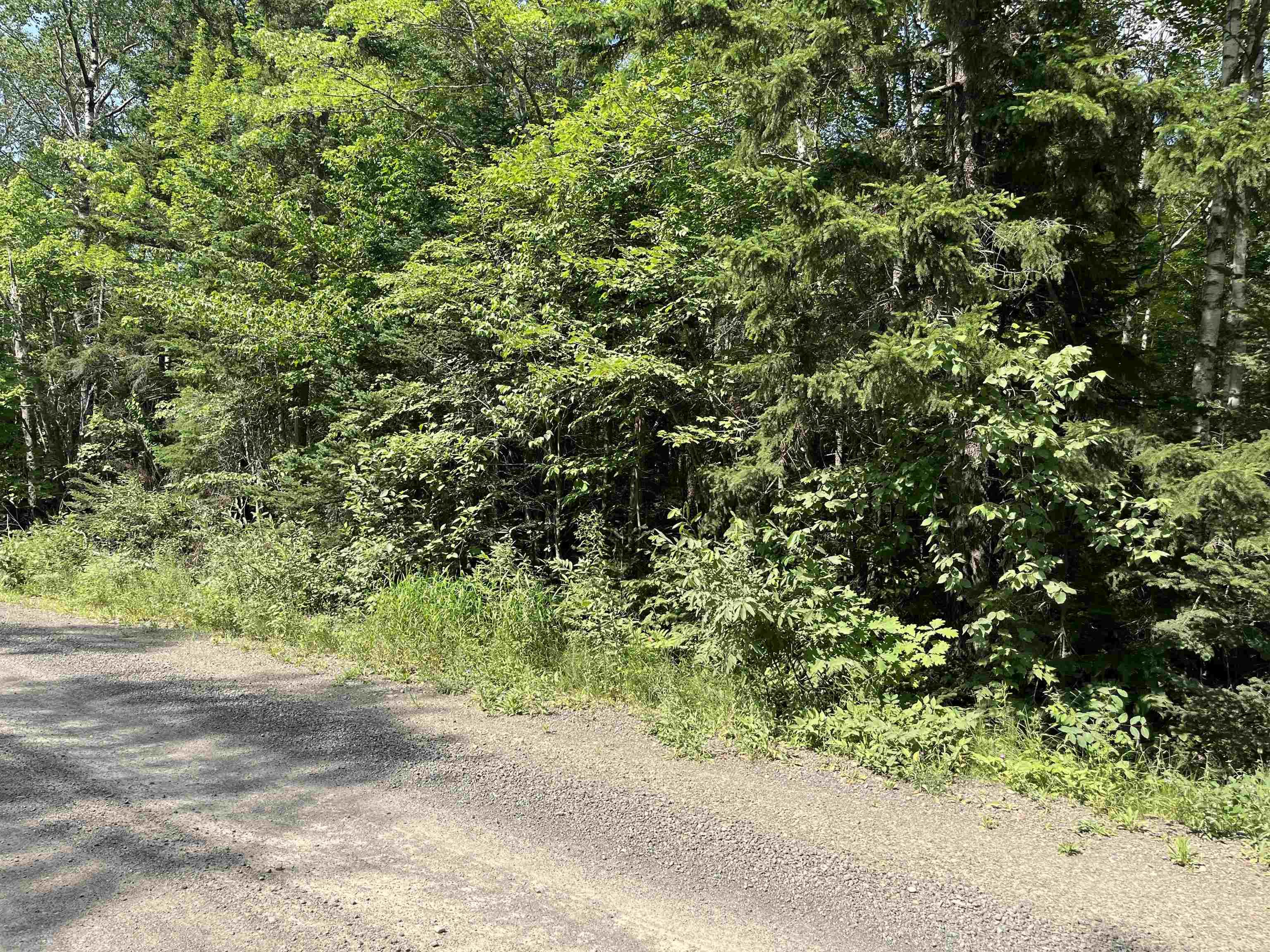 $39,900.00: 6 Lot 6 Butler Road Road, Forest Home