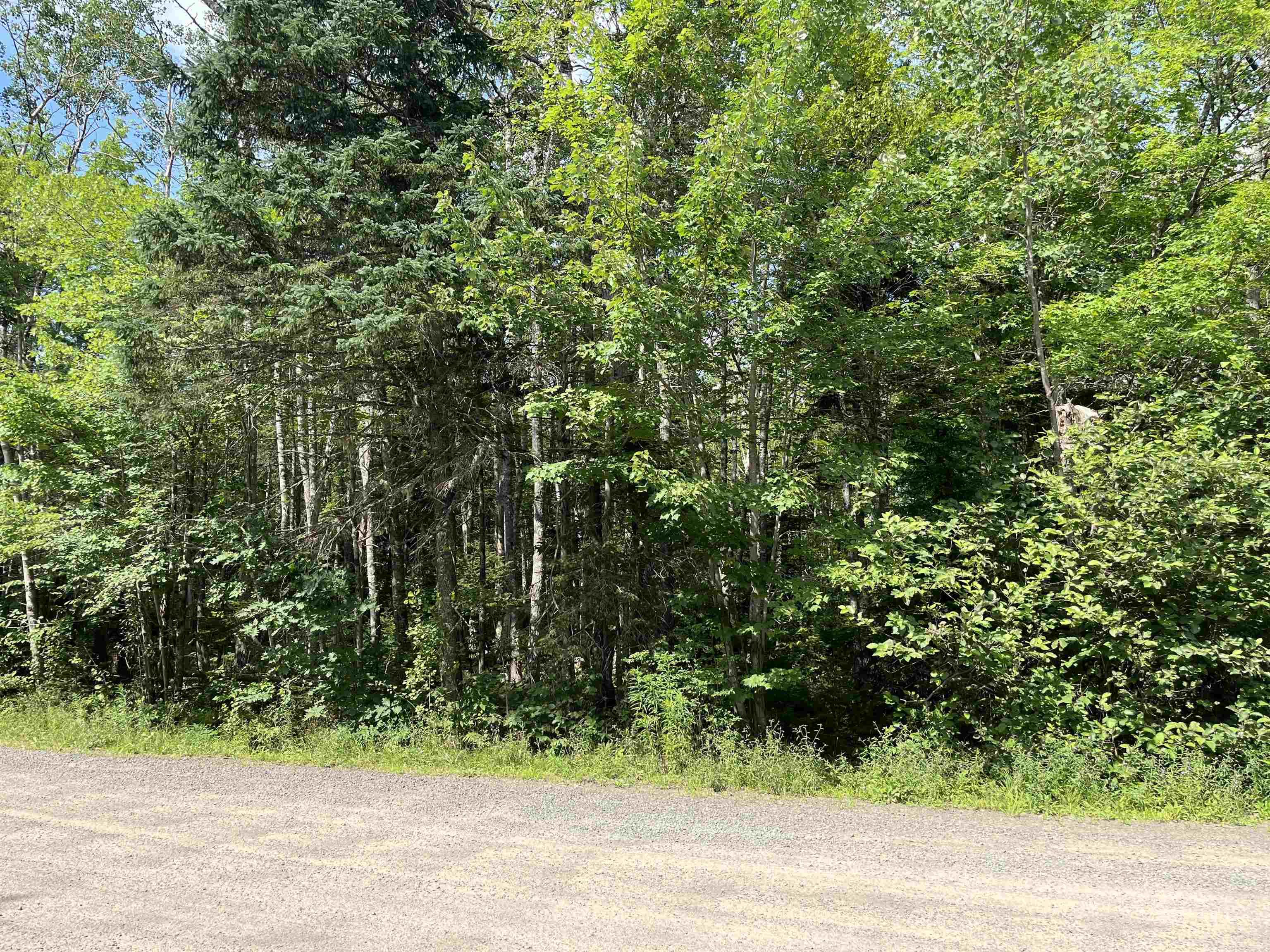 $39,900.00: 7 Lot 7 Butler Road Road, Forest Home