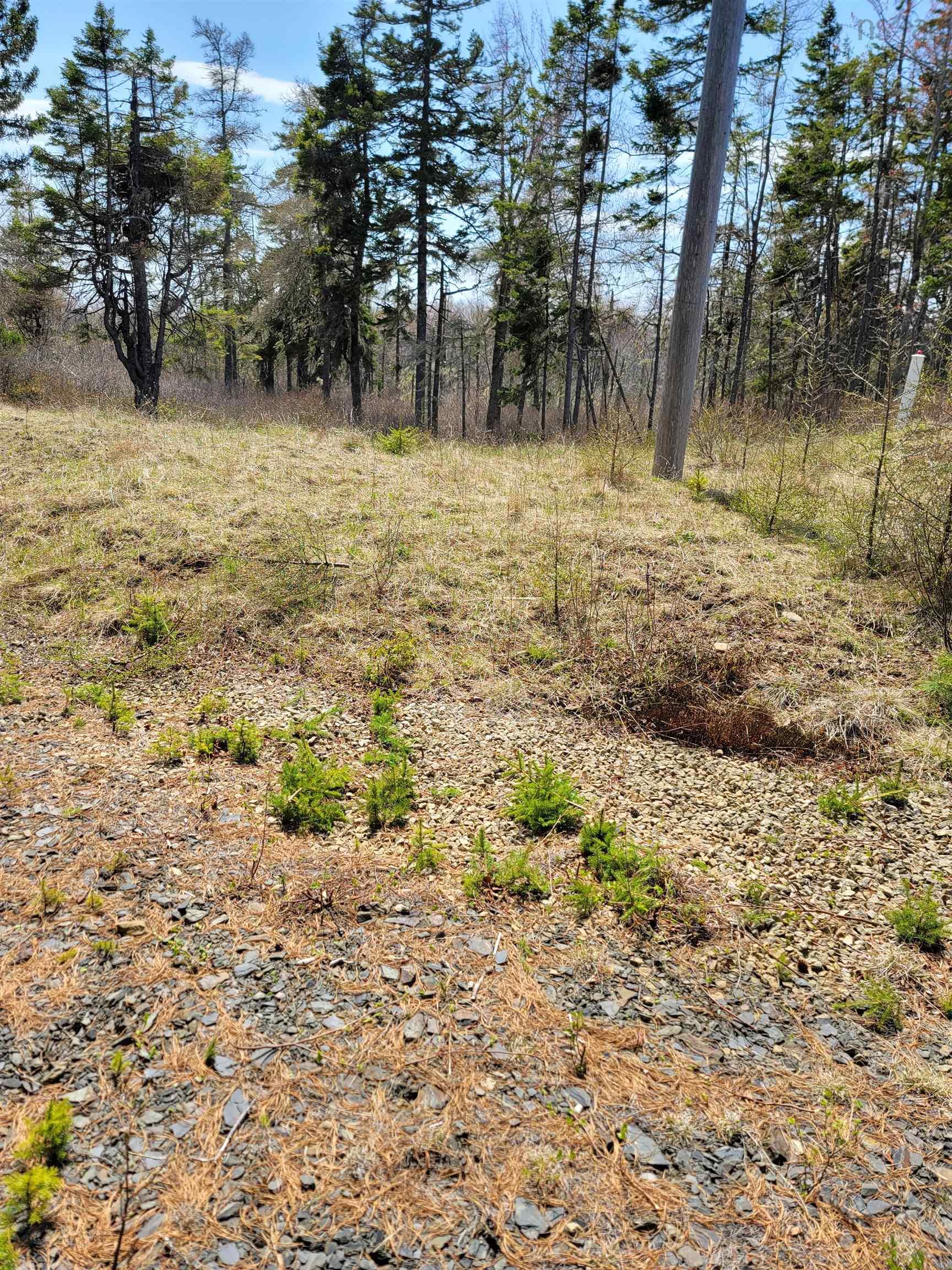$246,400.00: Lot 1 Feltzen South Road, Bayport