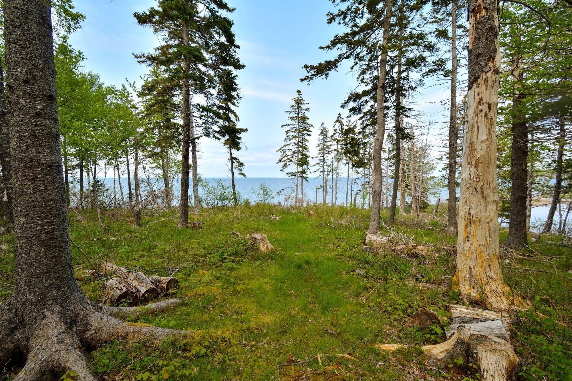 $67,000.00: Lot 2 Macleod Pond Road, Roberta