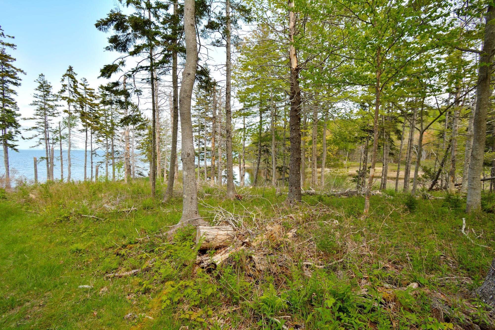 $67,000.00: Lot 2 Macleod Pond Road, Roberta