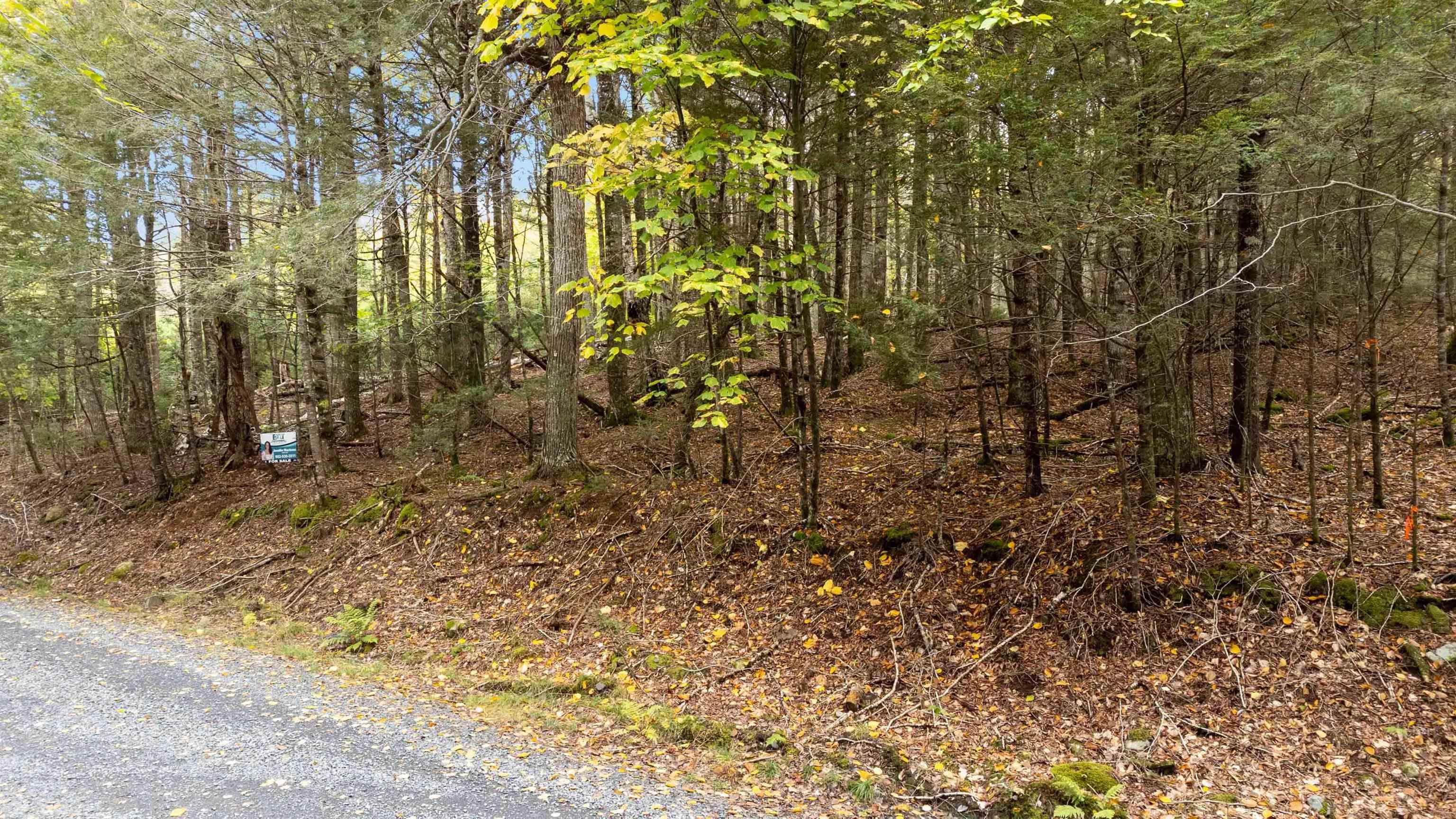 $16,999.00: Lot 36 Beaver Dam Crossover, Labelle