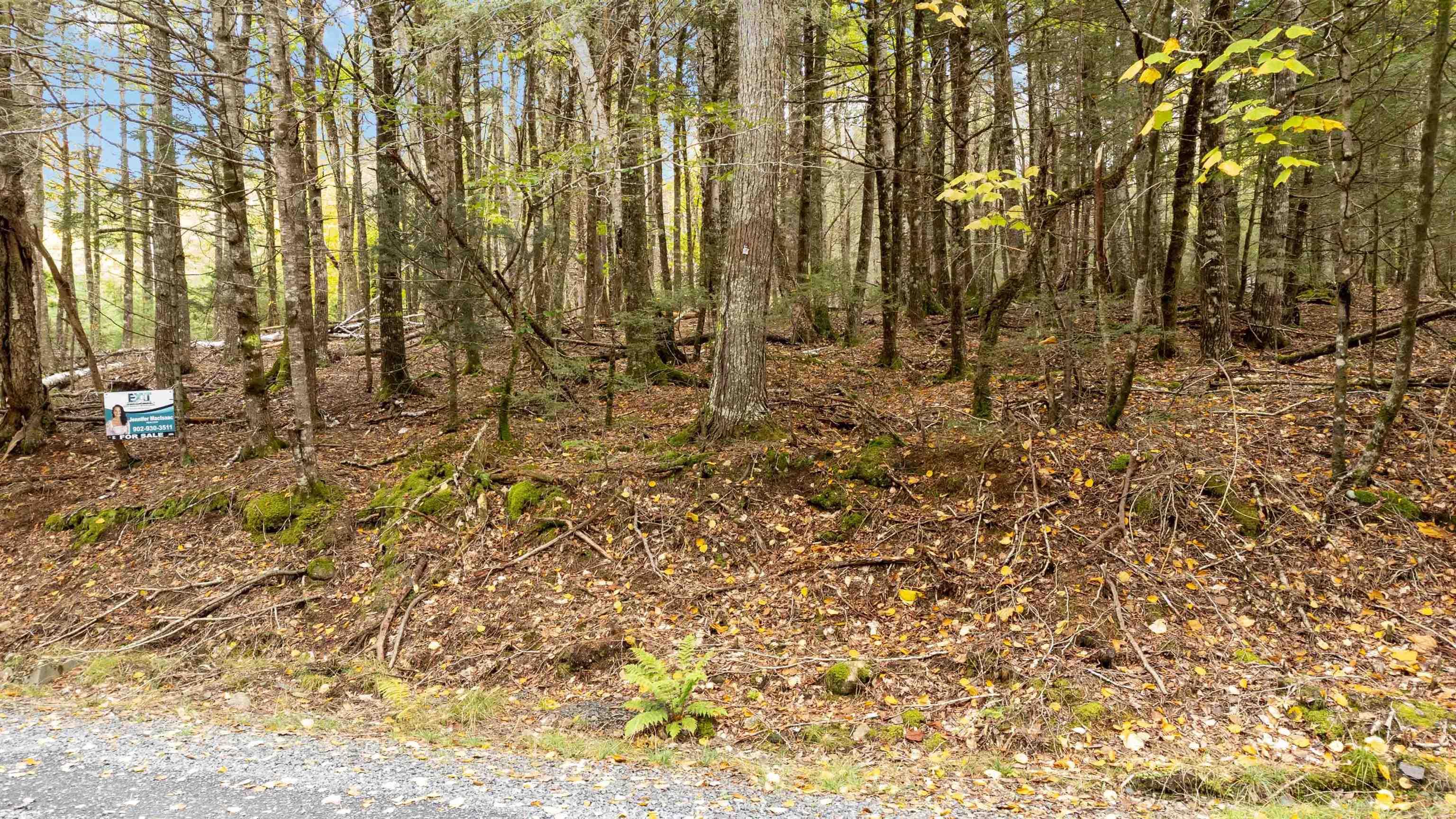 $16,999.00: Lot 36 Beaver Dam Crossover, Labelle