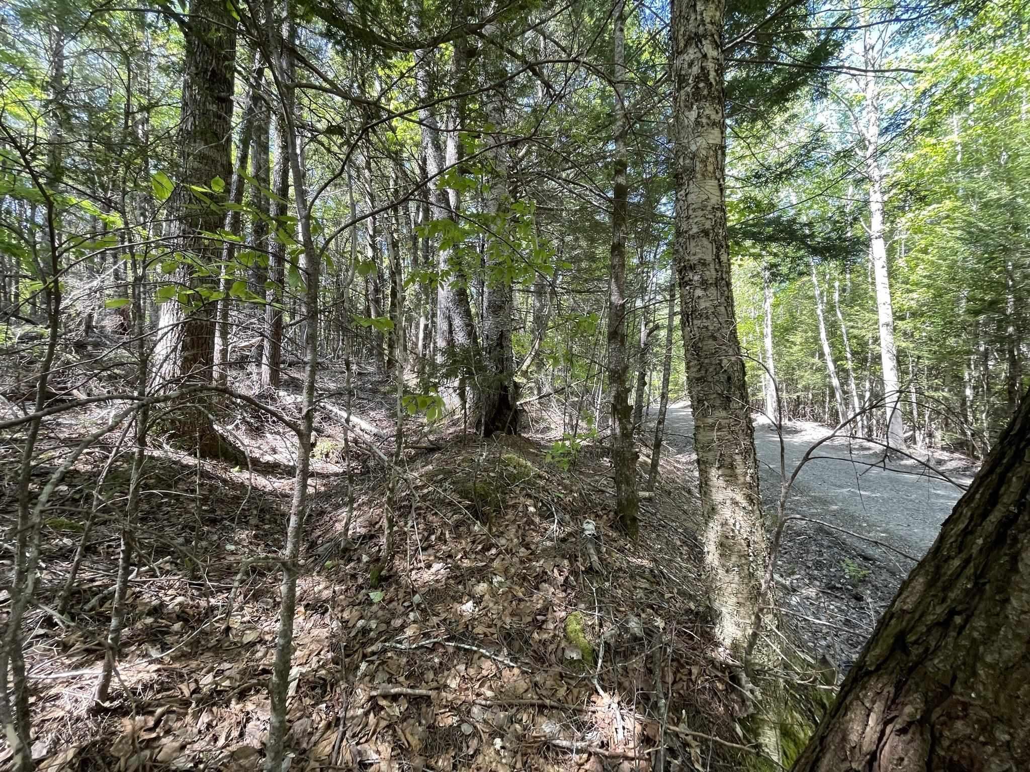 $16,999.00: Lot 36 Beaver Dam Crossover, Labelle