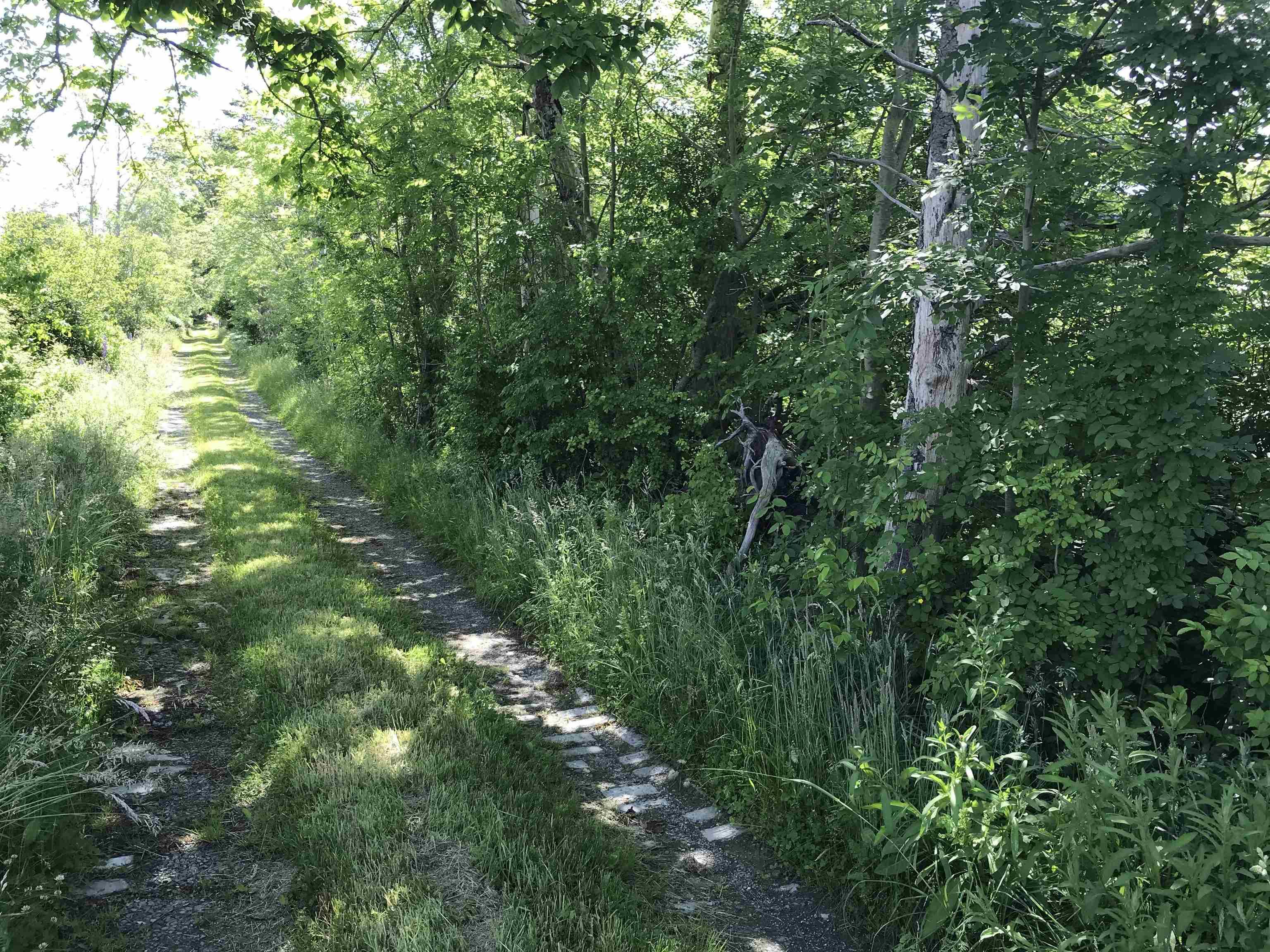 $349,000.00: 0 Highway 308, Tusket