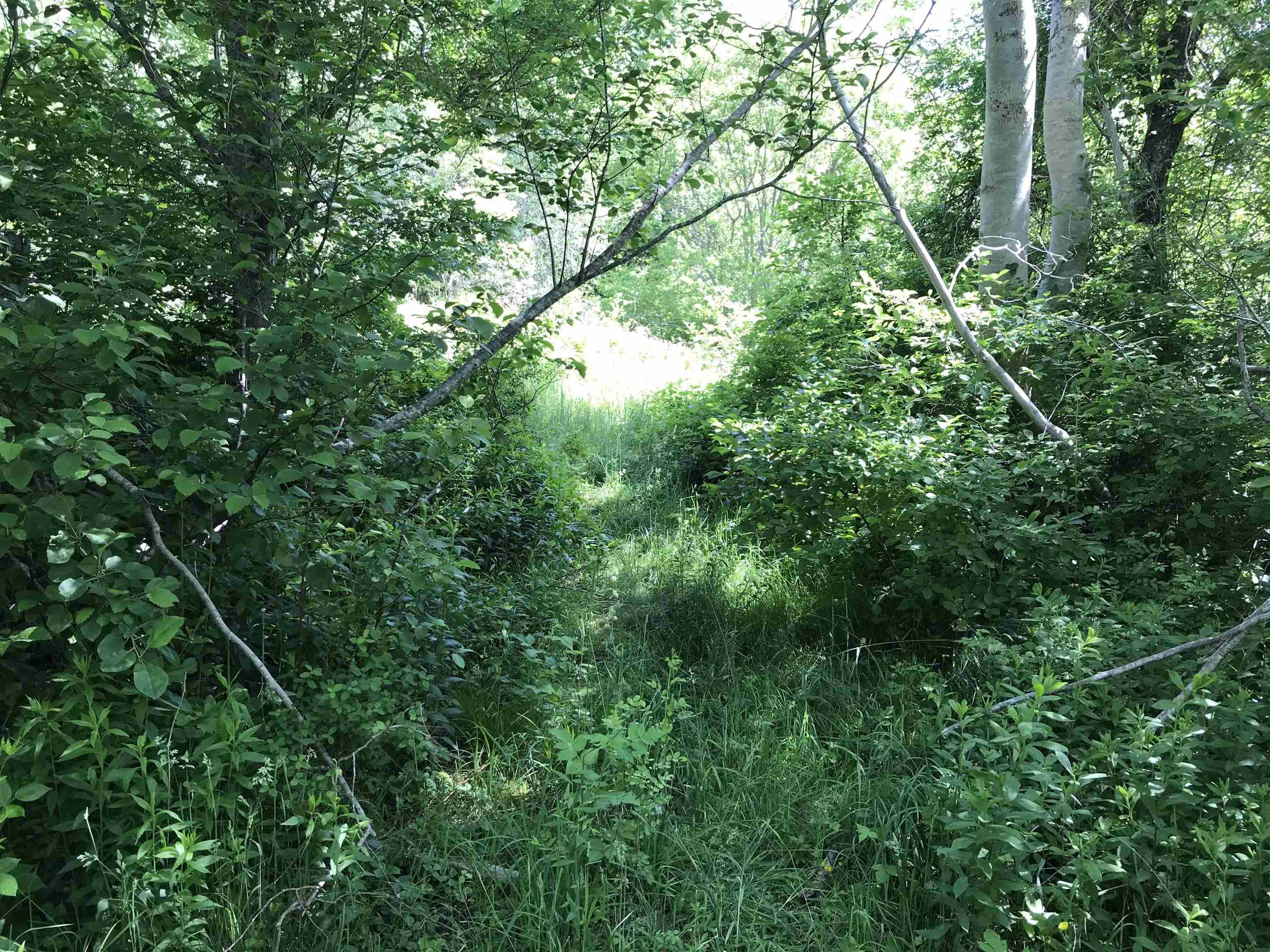 $349,000.00: 0 Highway 308, Tusket