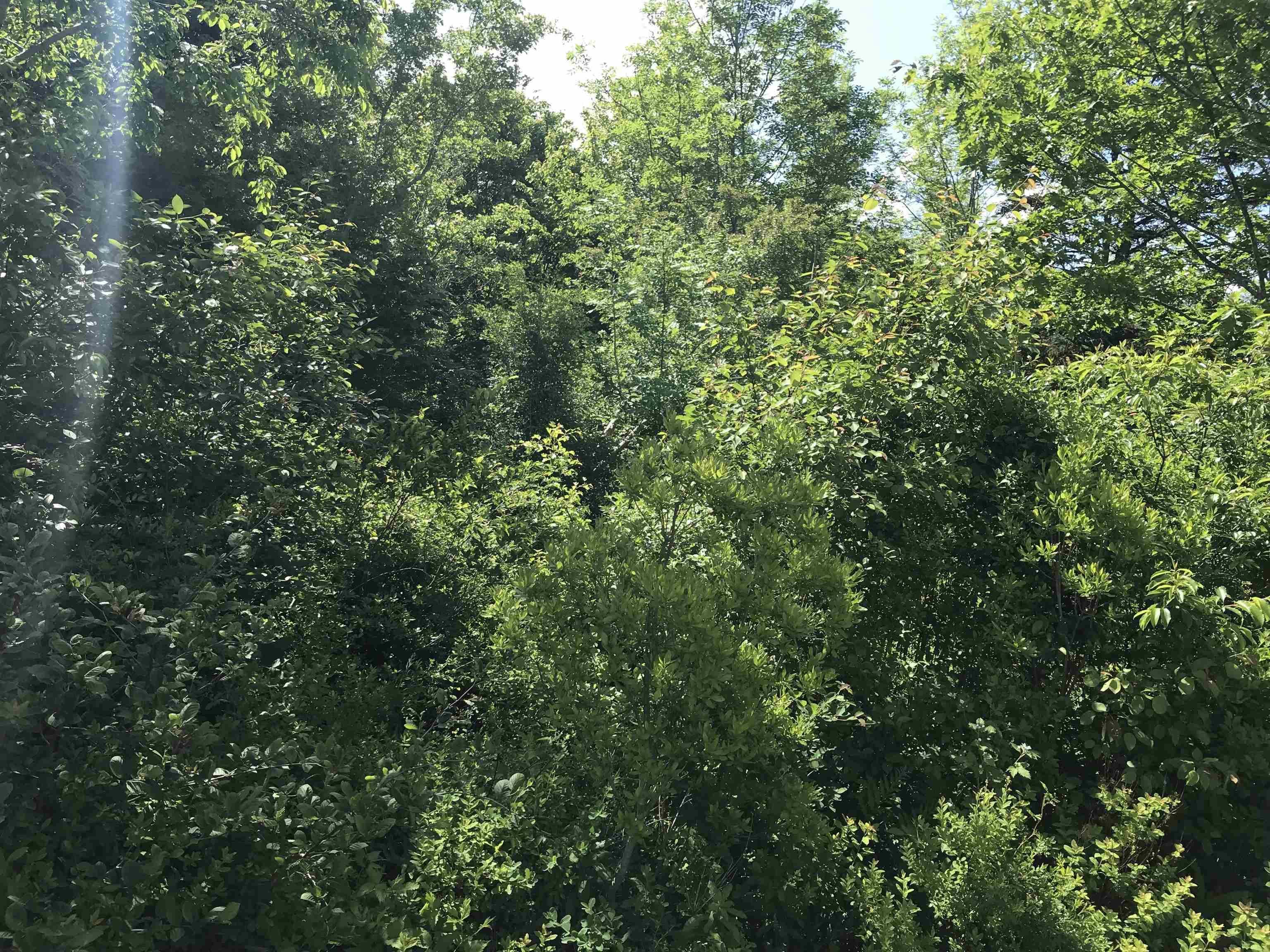 $349,000.00: 0 Highway 308, Tusket