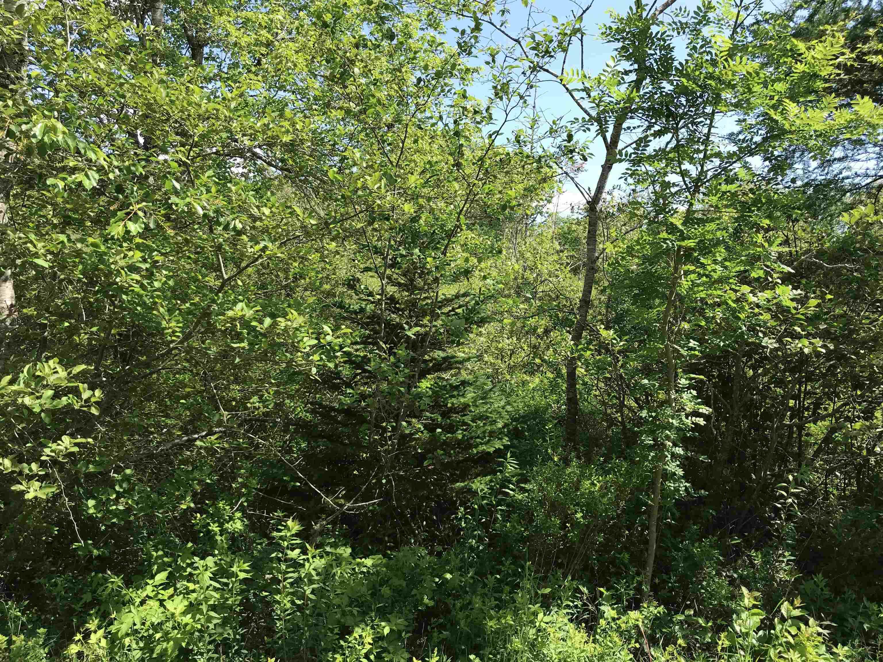 $349,000.00: 0 Highway 308, Tusket