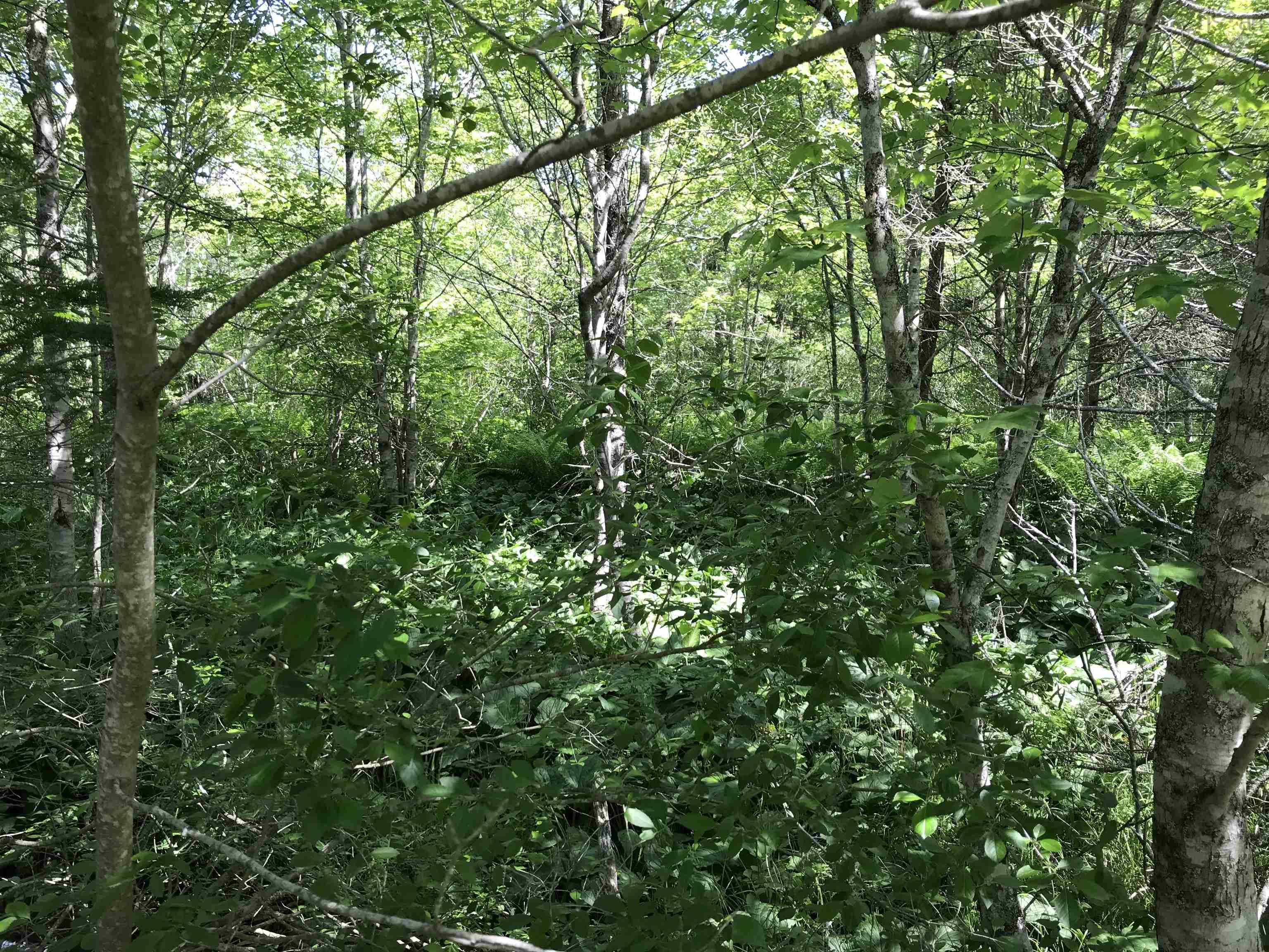 $349,000.00: 0 Highway 308, Tusket