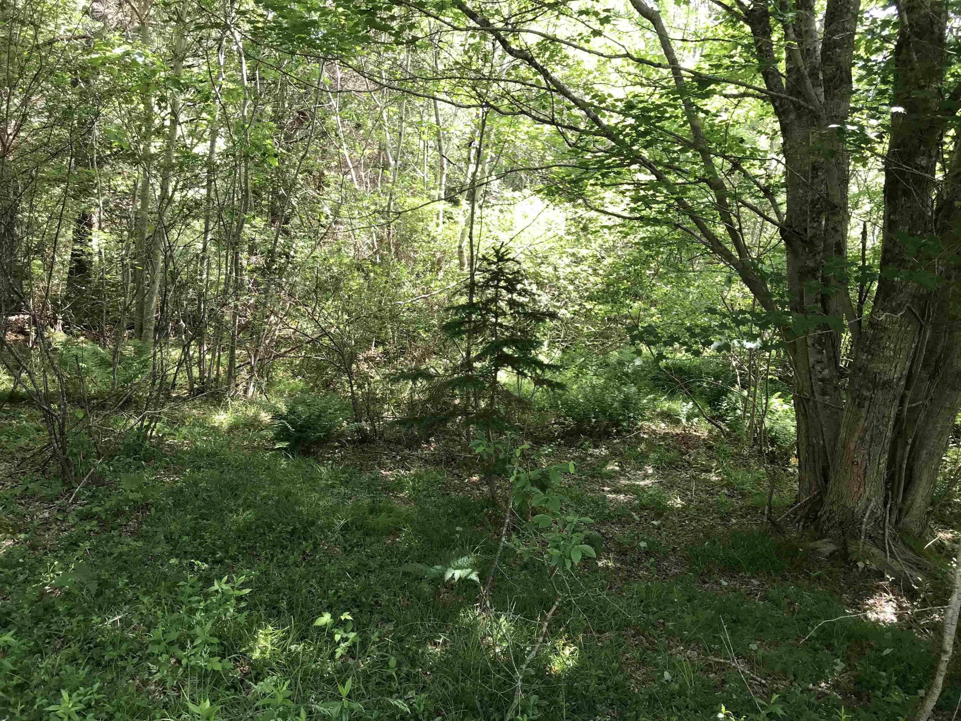 $349,000.00: 0 Highway 308, Tusket
