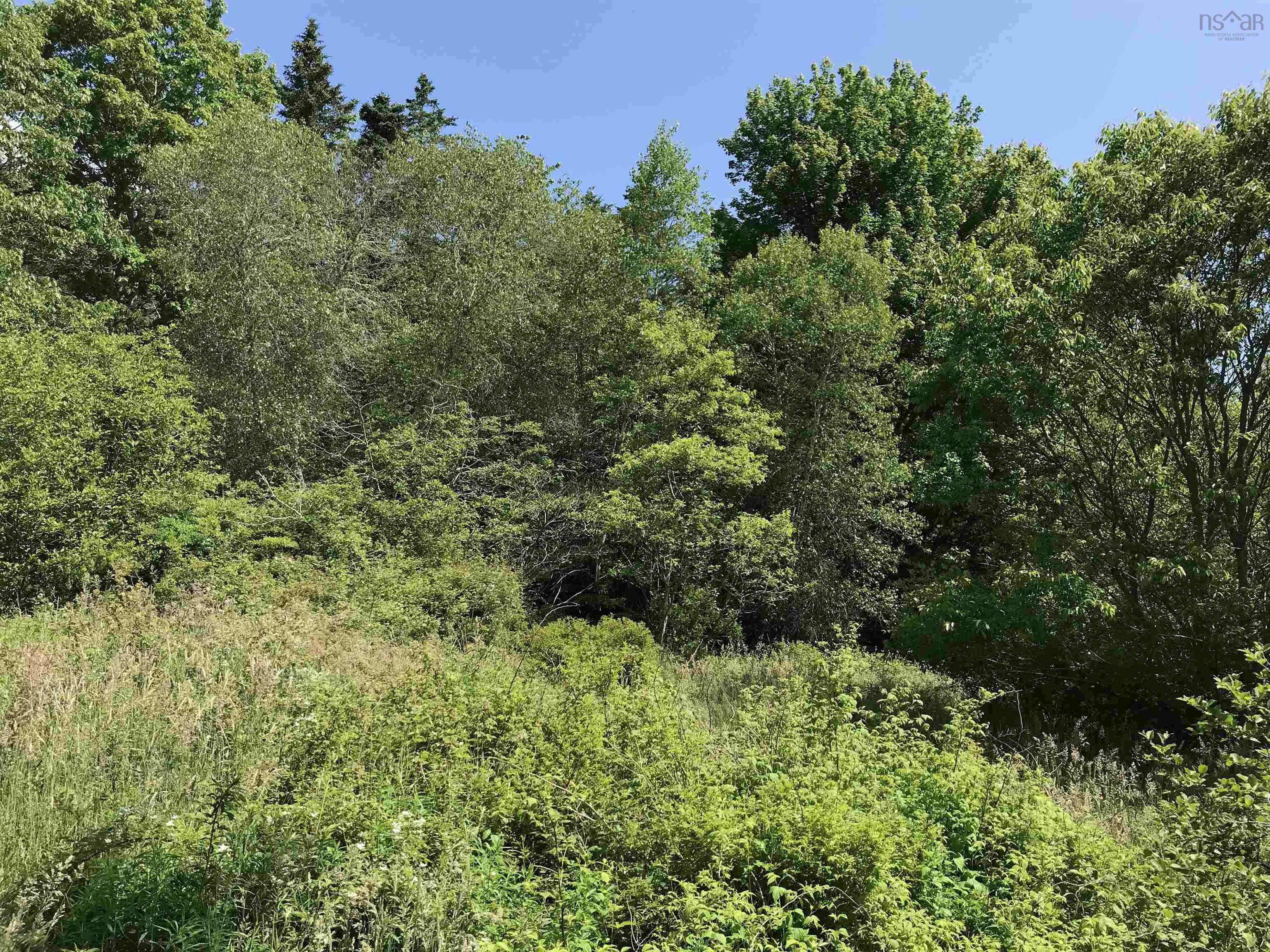 $349,000.00: 0 Highway 308, Tusket