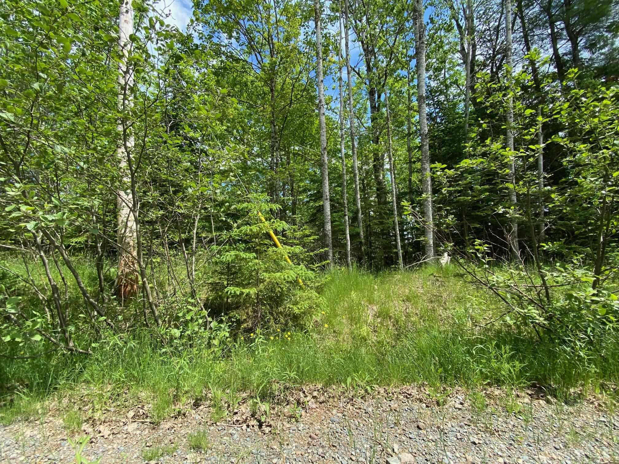 $34,900.00: Lot 2 Butler Road, Lake Egmont