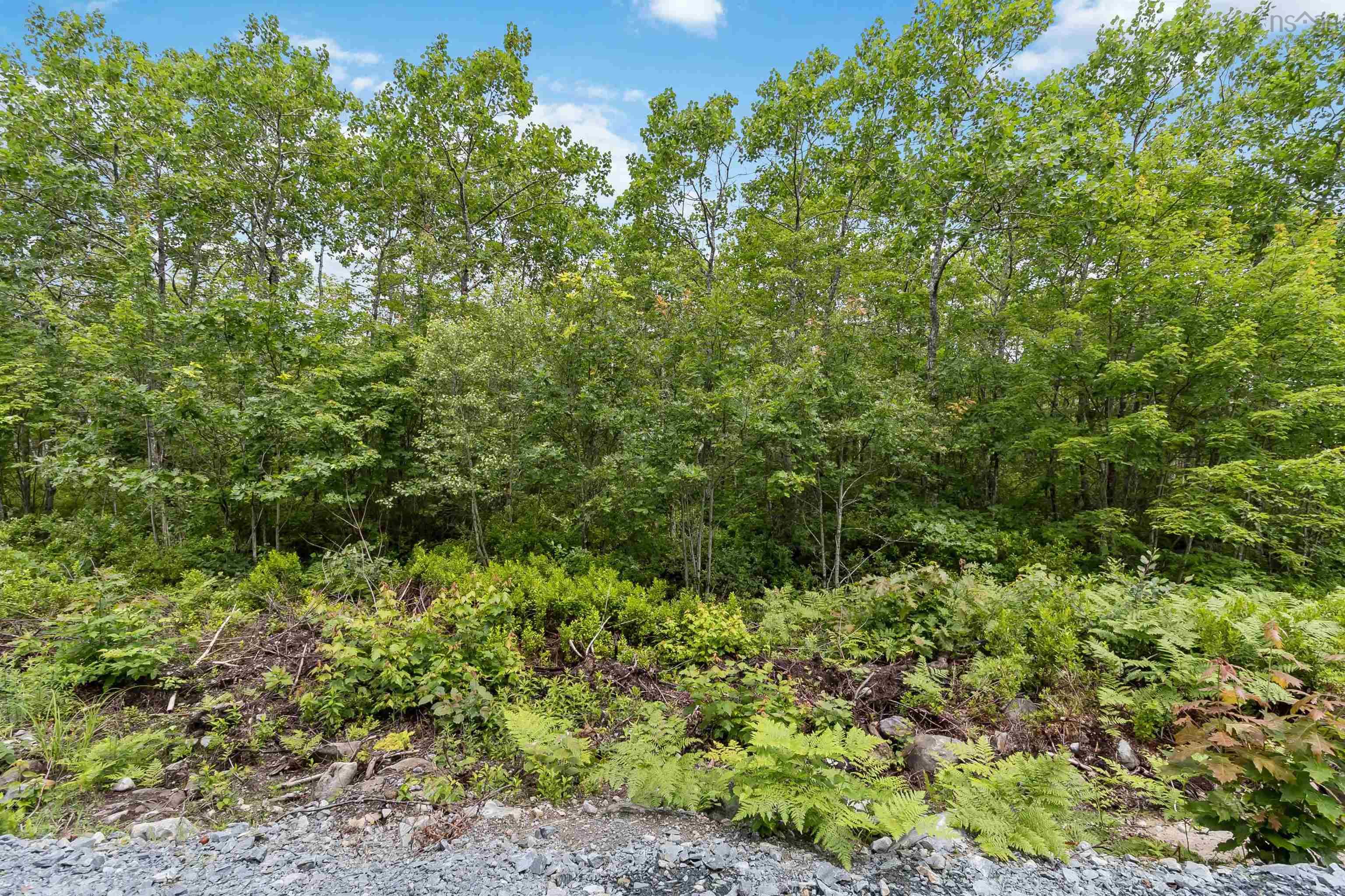 $21,000.00: Lot 12 Maple Ridge Drive, White Point