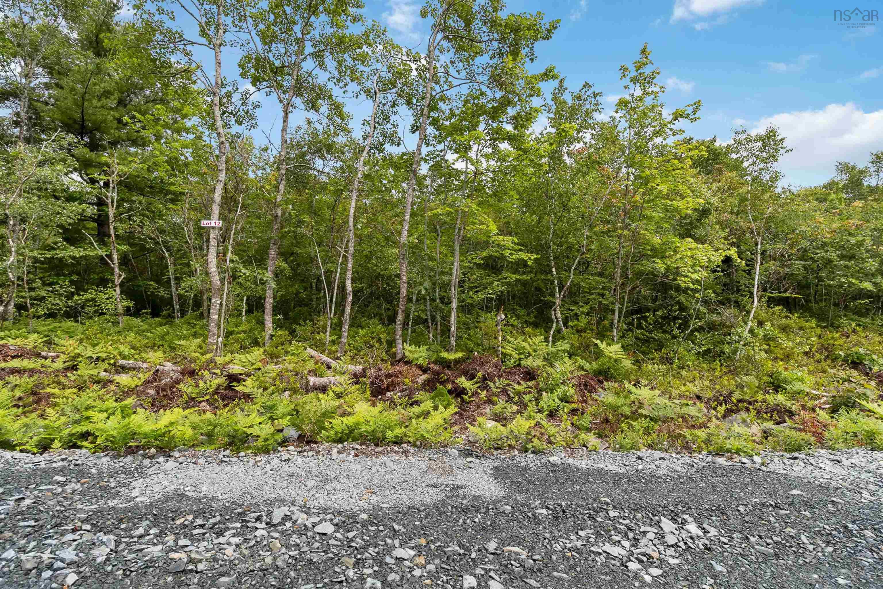 $21,000.00: Lot 12 Maple Ridge Drive, White Point